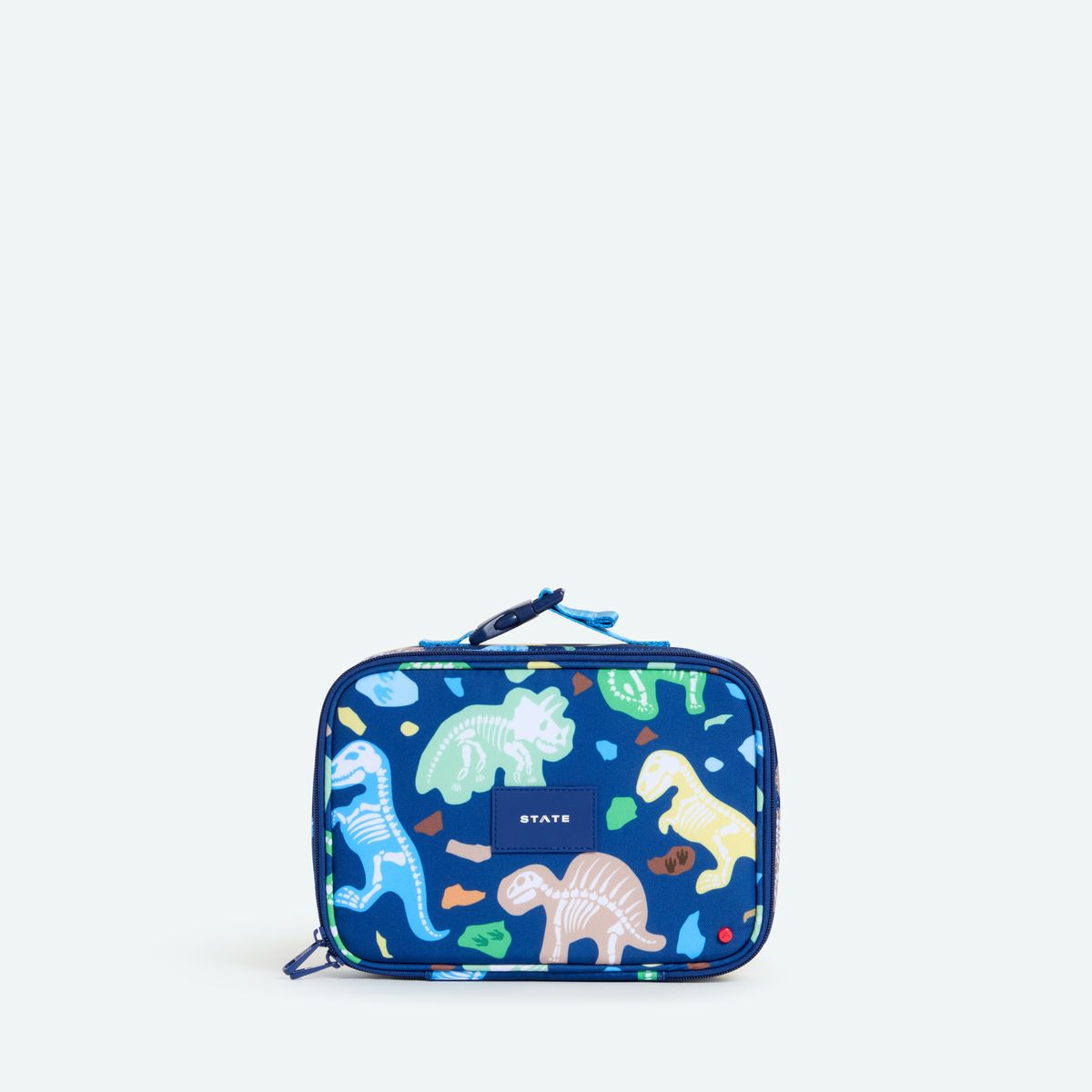 Rodgers Lunch Box - Dino Fossils