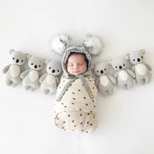 Baby koala