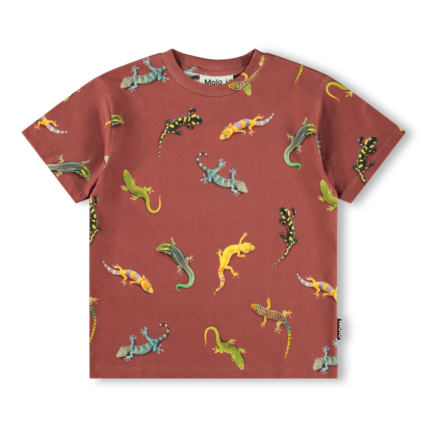 Riley - Geckos Sanguine