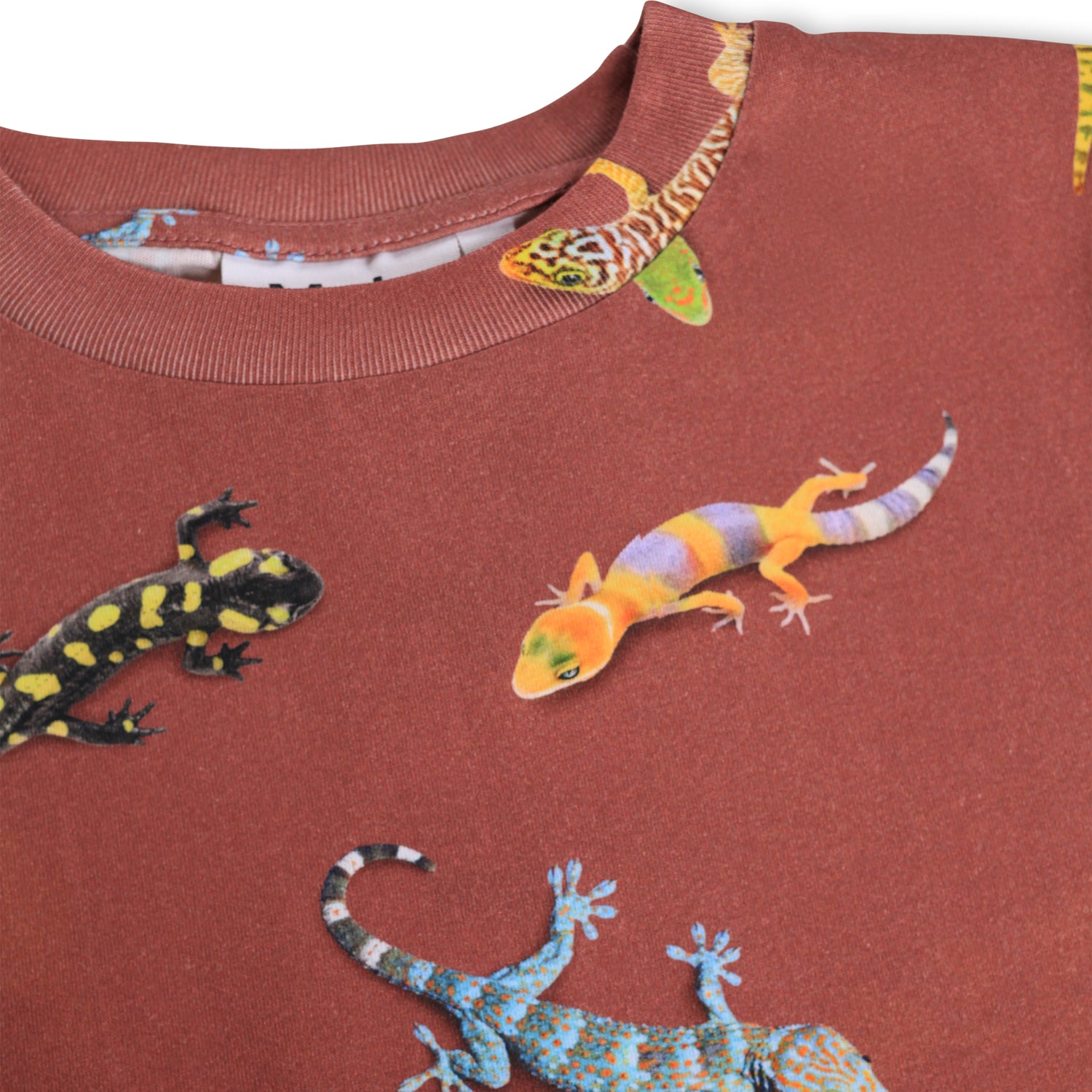 Riley - Geckos Sanguine