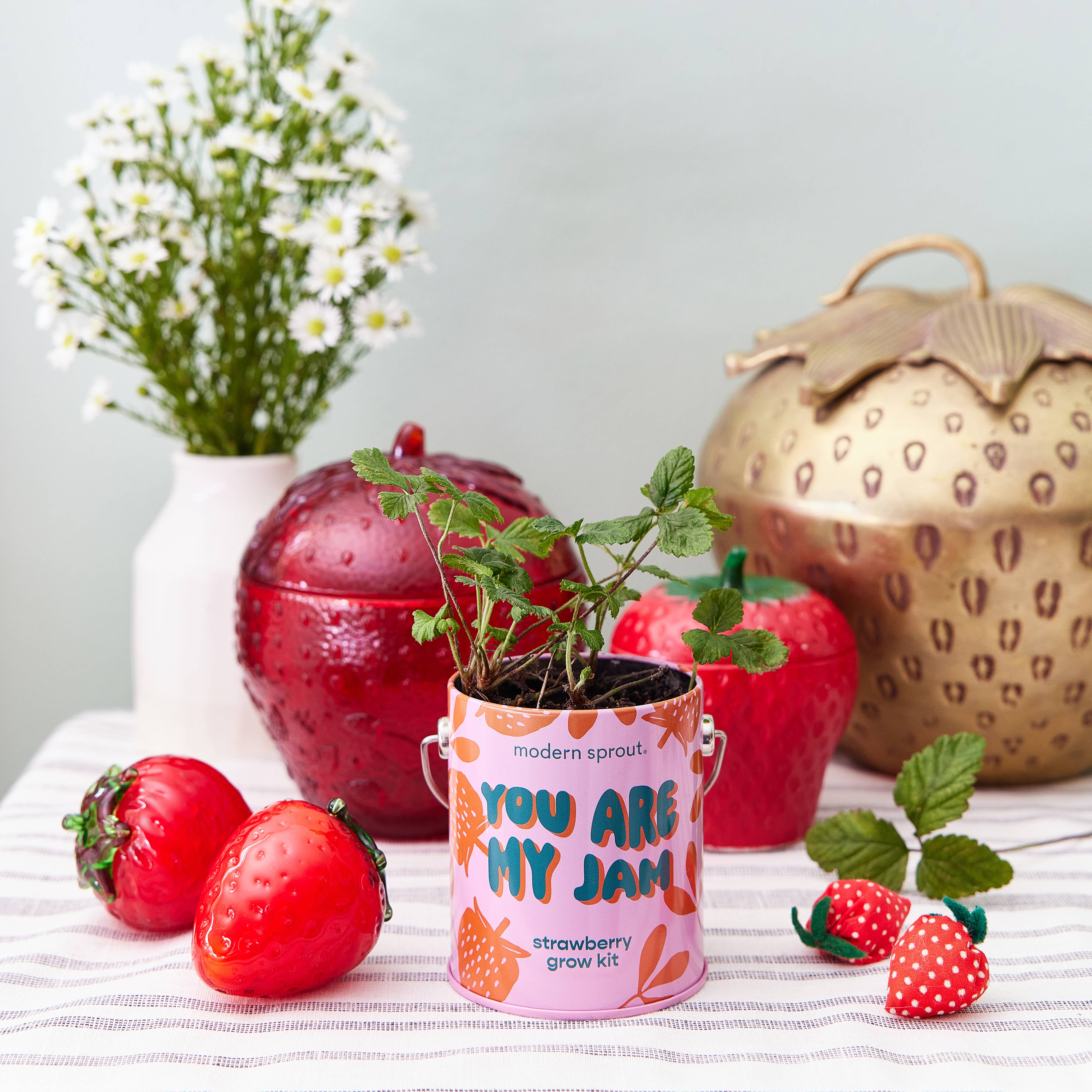 Color Grow Kits: You are My Jam