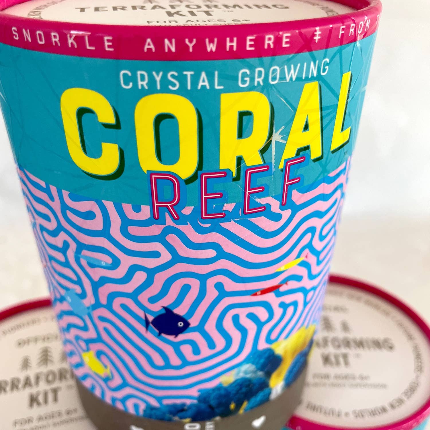 Crystal Growing Coral Reef |
Craft Kit Science Kit
