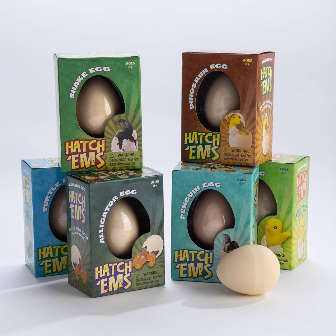 Chicken Eggs (Mini Hatch'ems) | Watch them Grow!