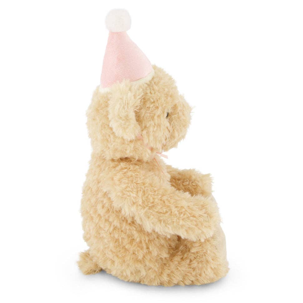 Birthday Teddy Bear Plush - Fairy