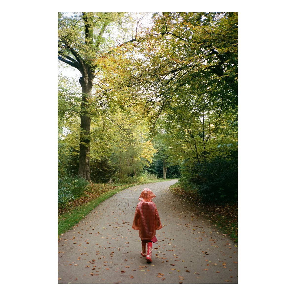 Iris Raincoat - Berry Gingham