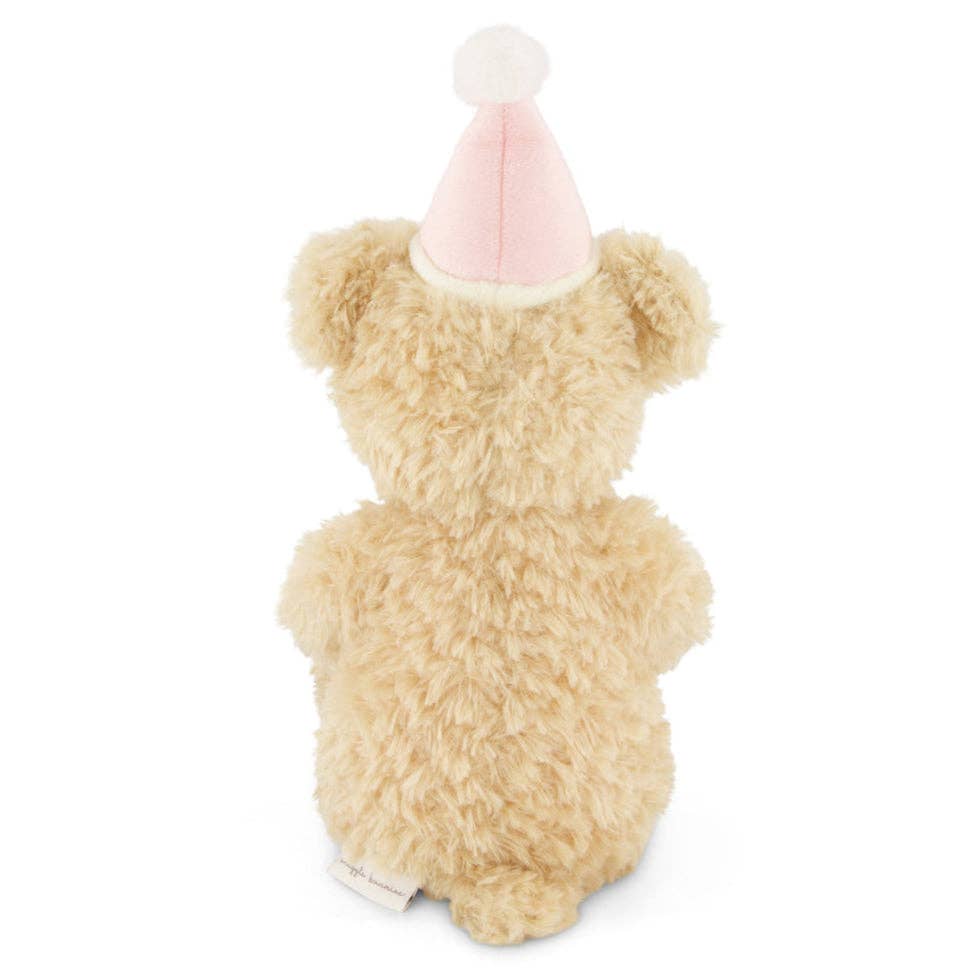 Birthday Teddy Bear Plush - Fairy