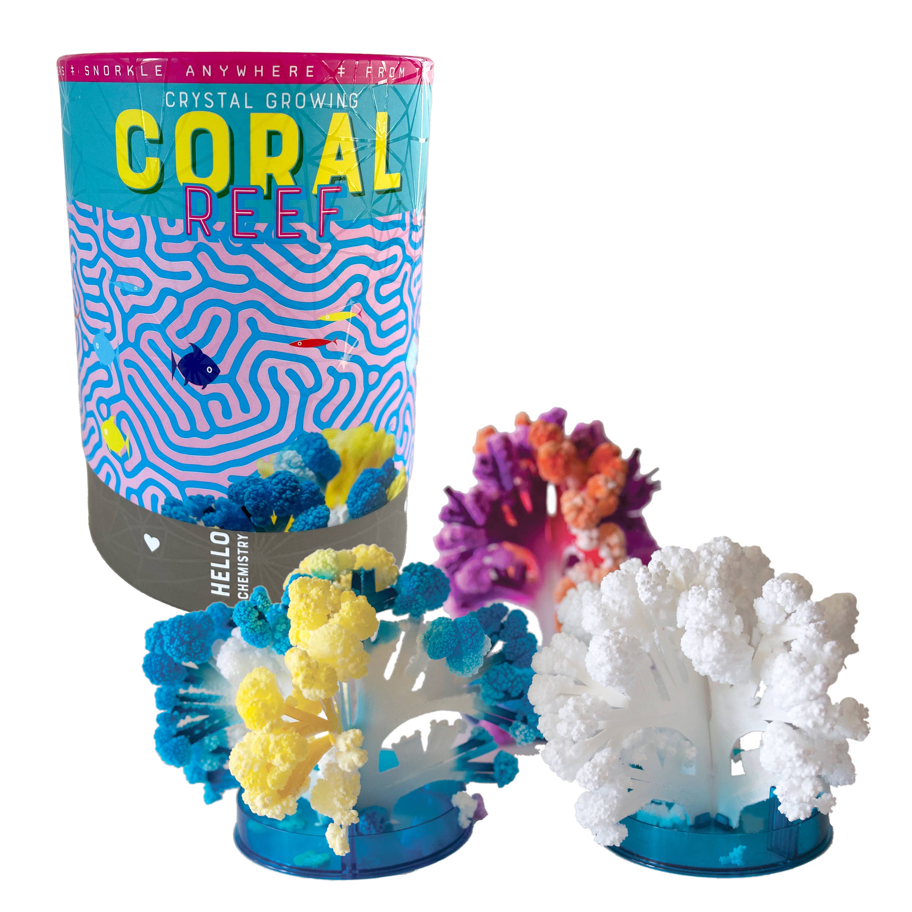 Crystal Growing Coral Reef |
Craft Kit Science Kit