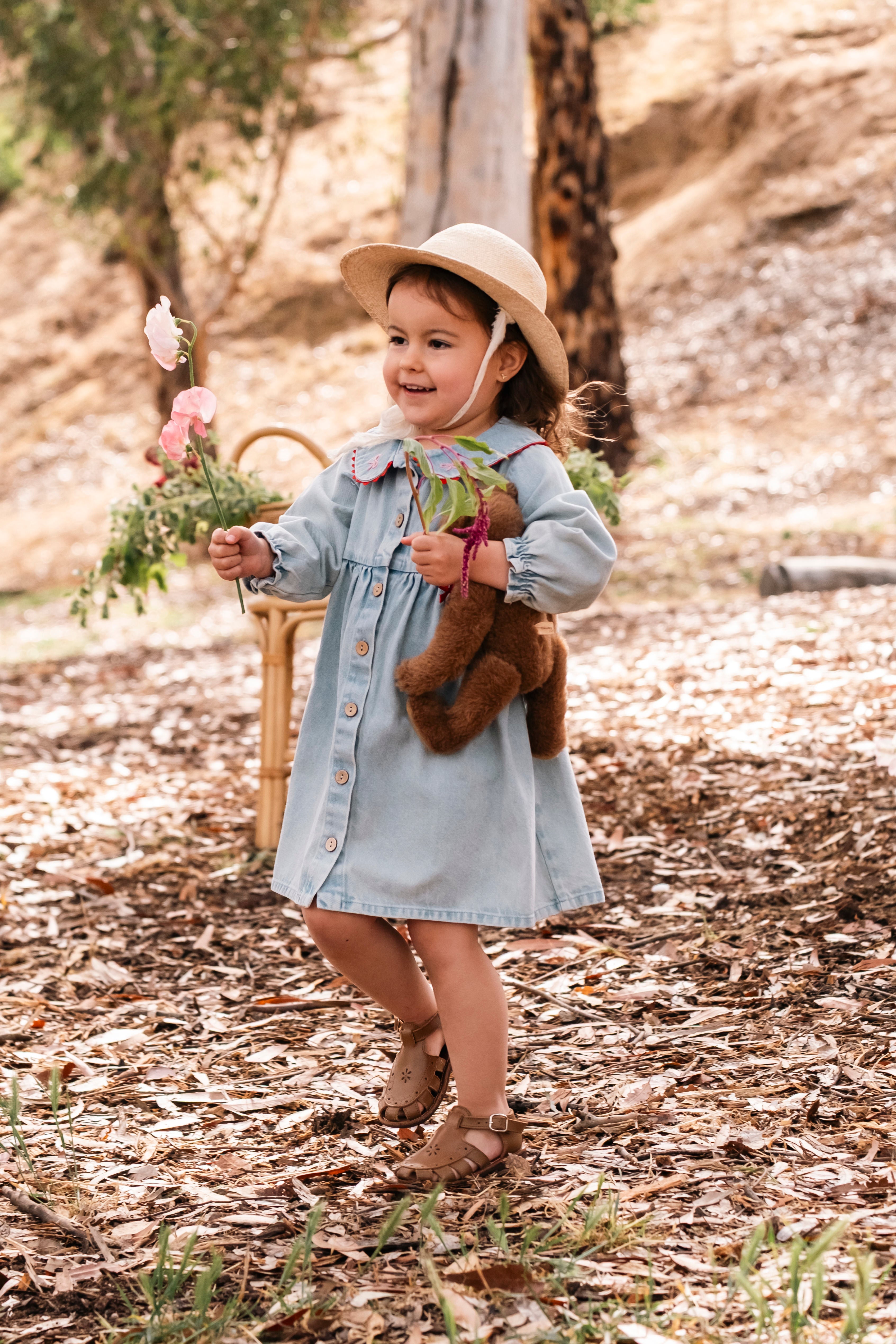 Clementine Dress - Denim Darling