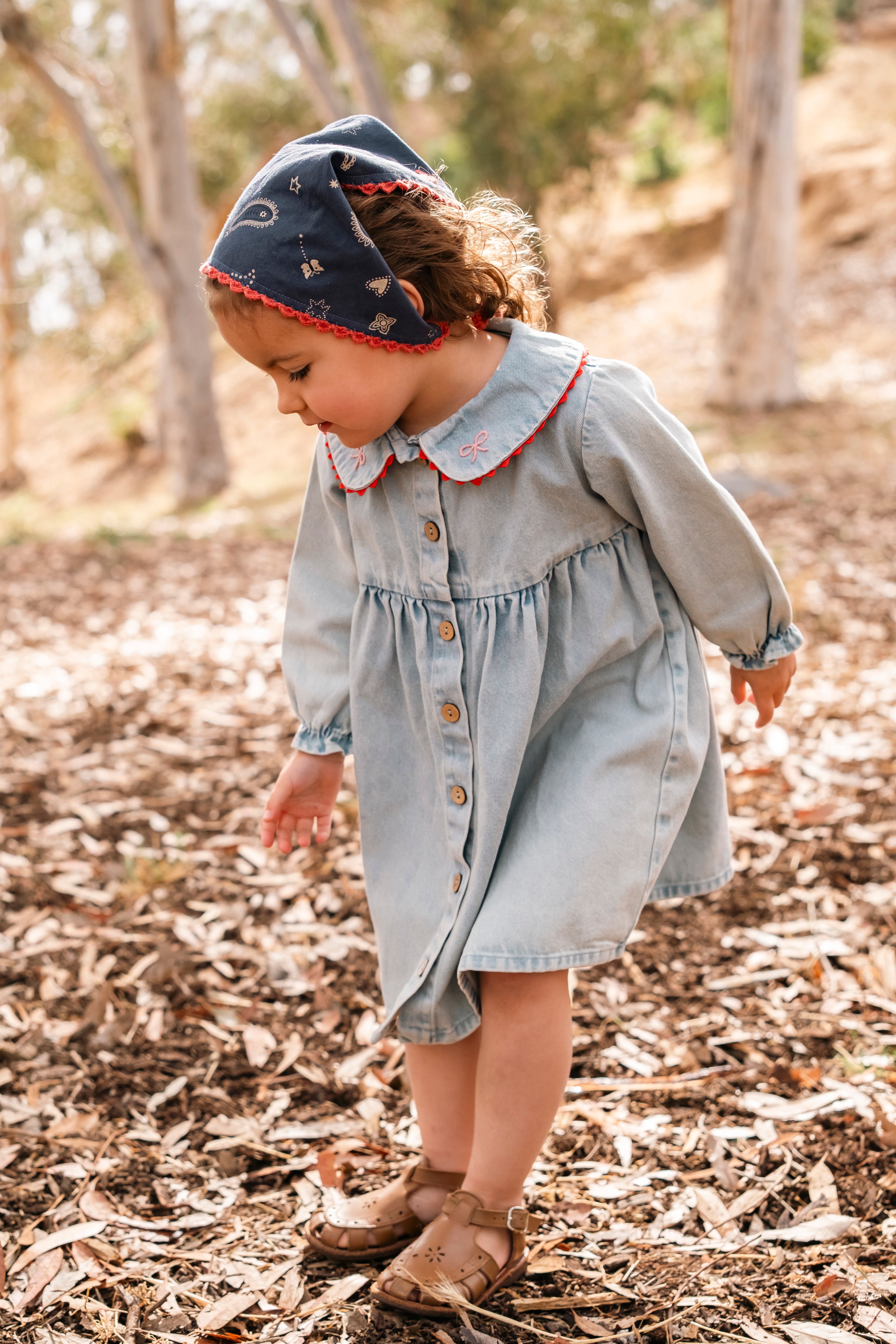 Clementine Dress - Denim Darling