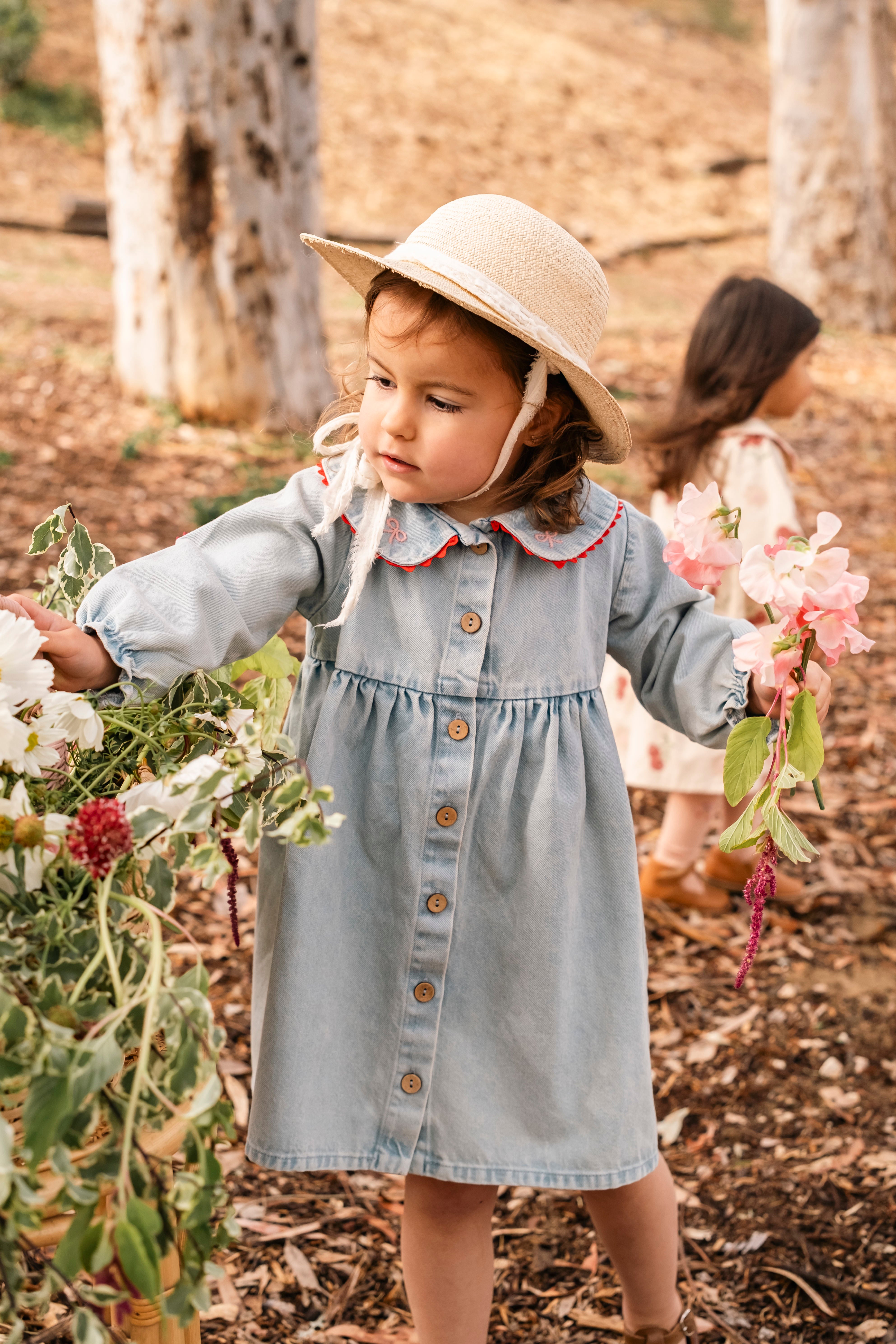 Clementine Dress - Denim Darling