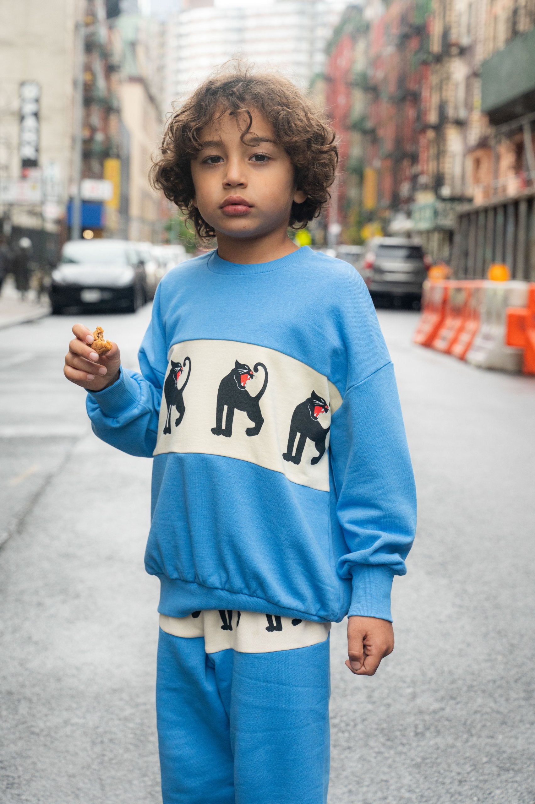 Panther Panel Sweatshirt - Blue