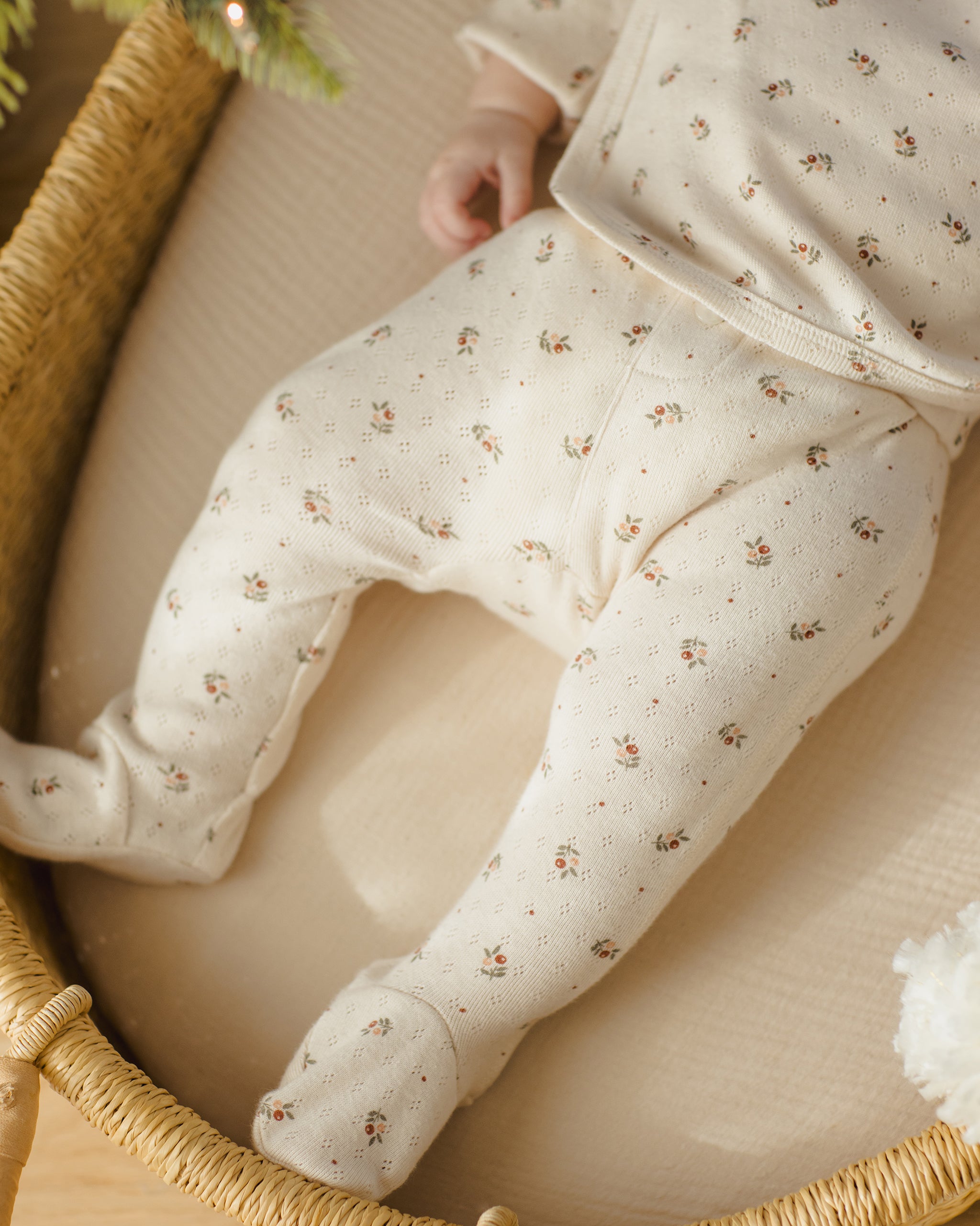 Take Home Set || Holly Berry