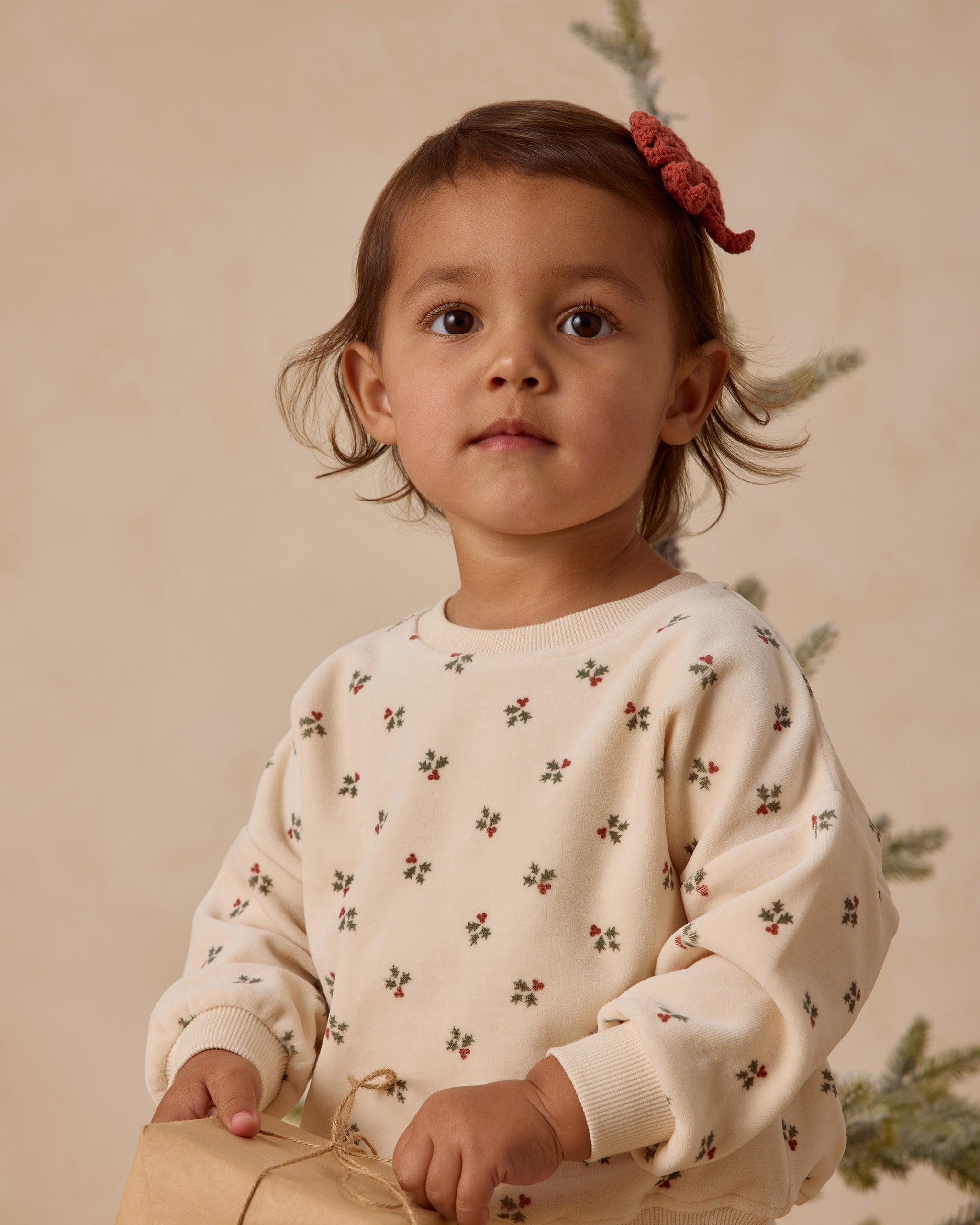 Velour Relaxed Sweatshirt || Holly Berry
