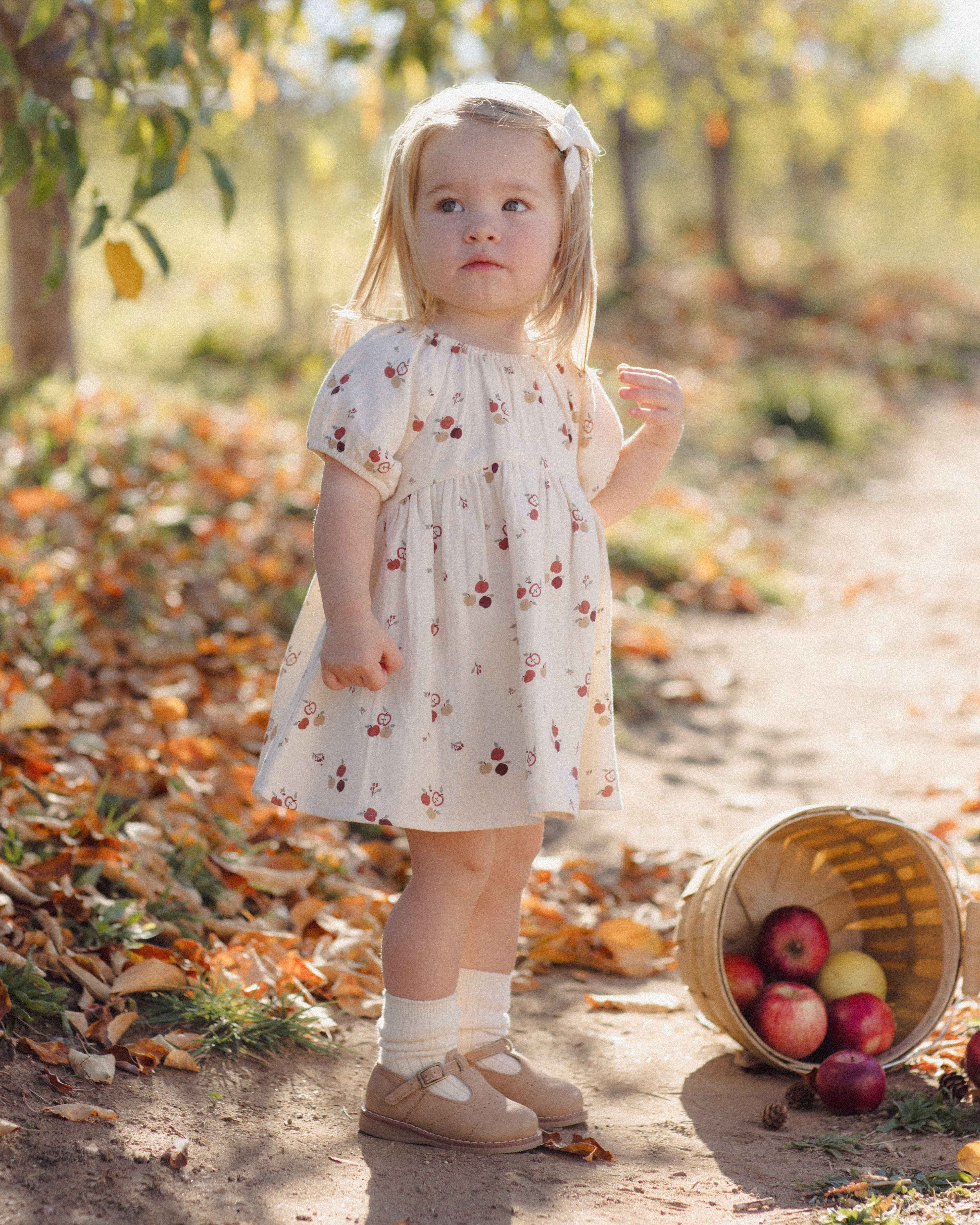 Bella Dress Apples - Natural