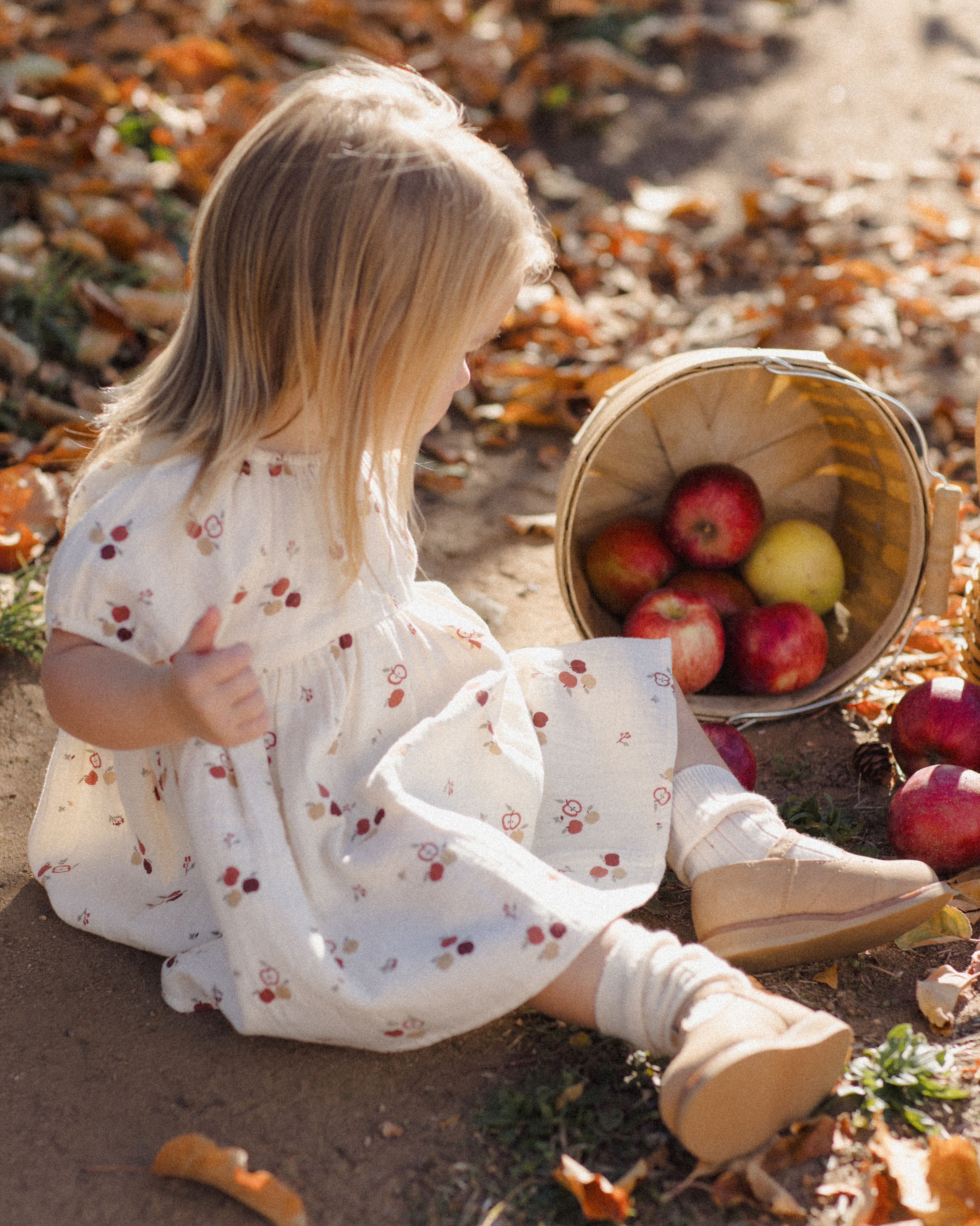 Bella Dress Apples - Natural