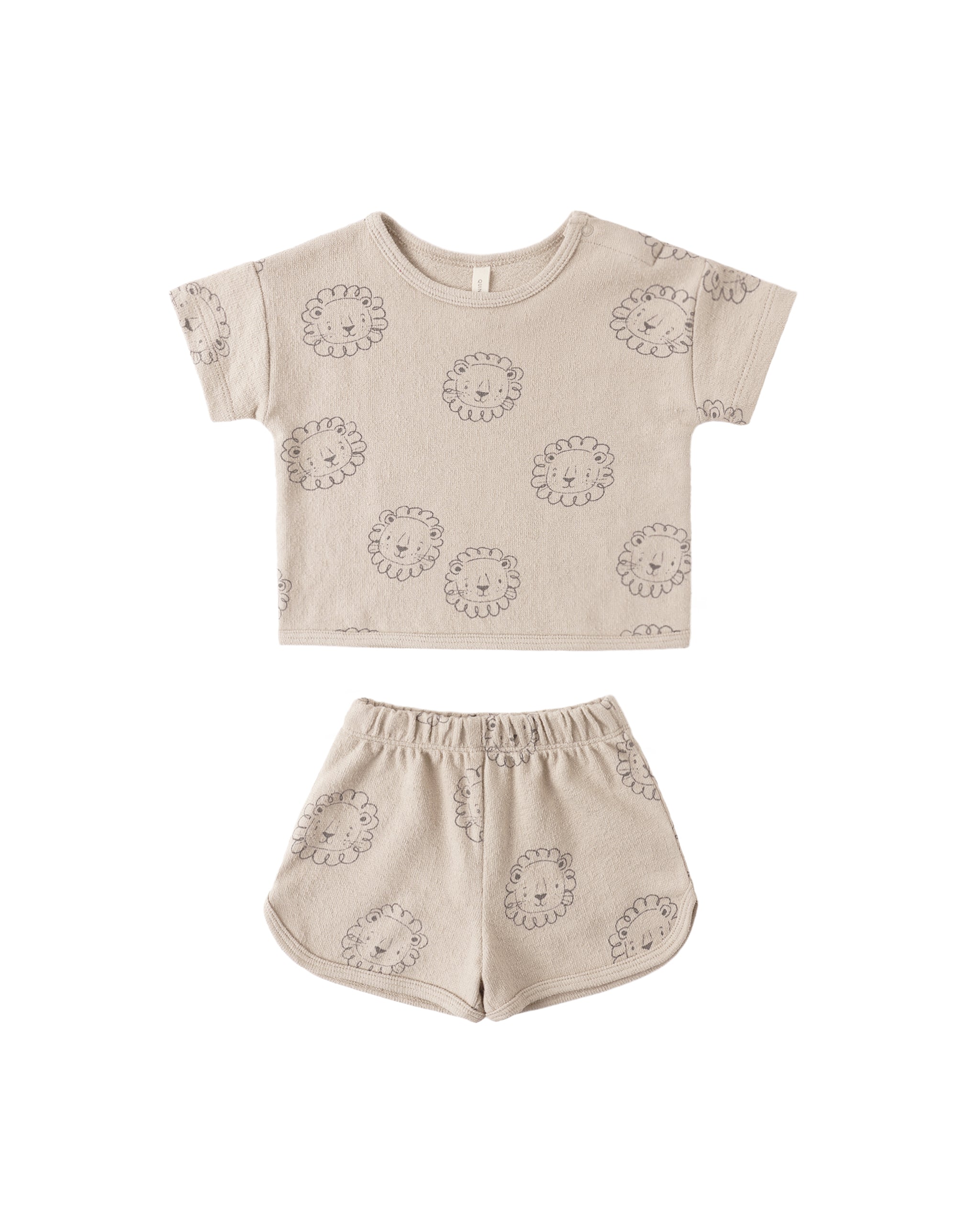 Spongy Play Set || Lion