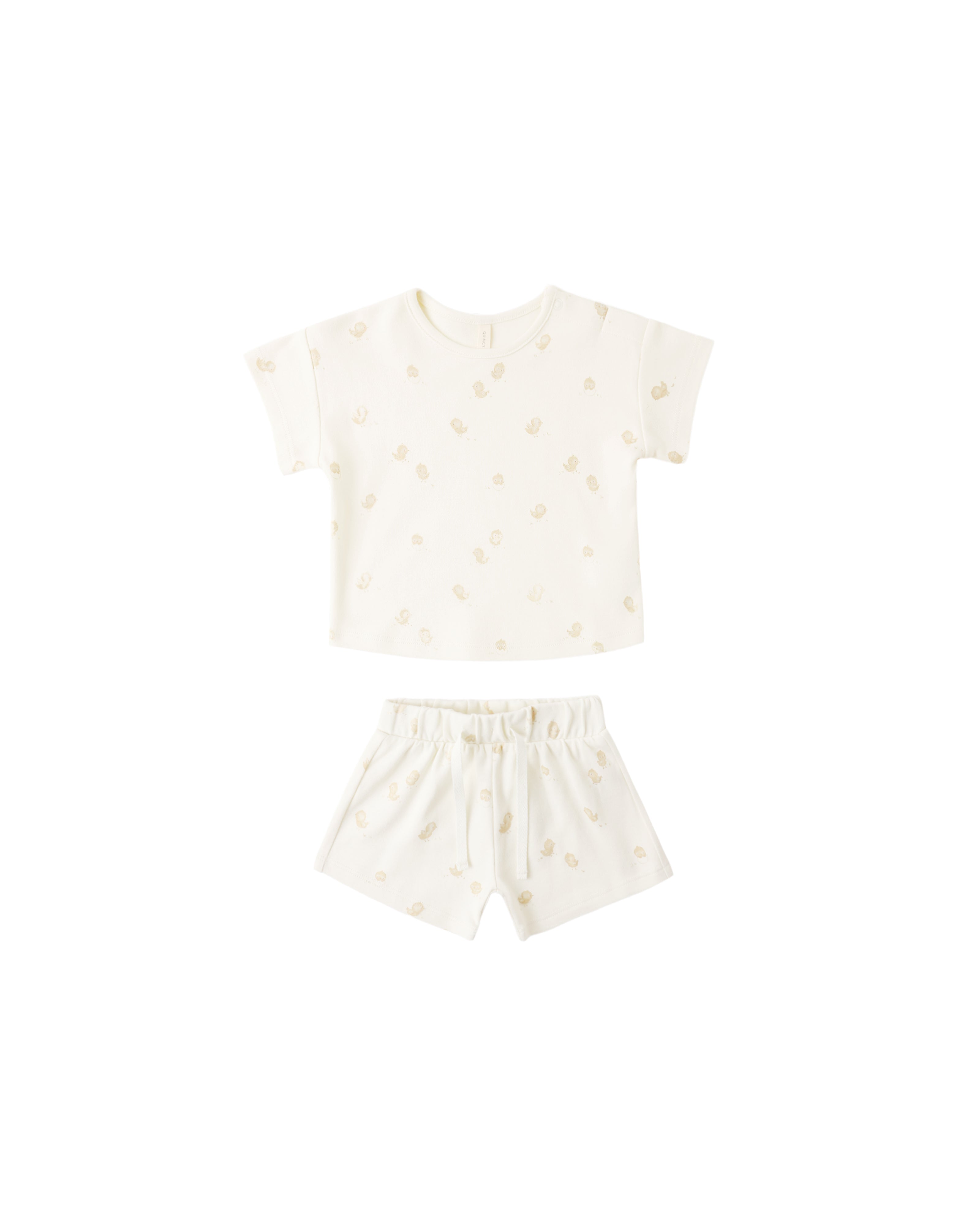 Frankie Set || Chicks