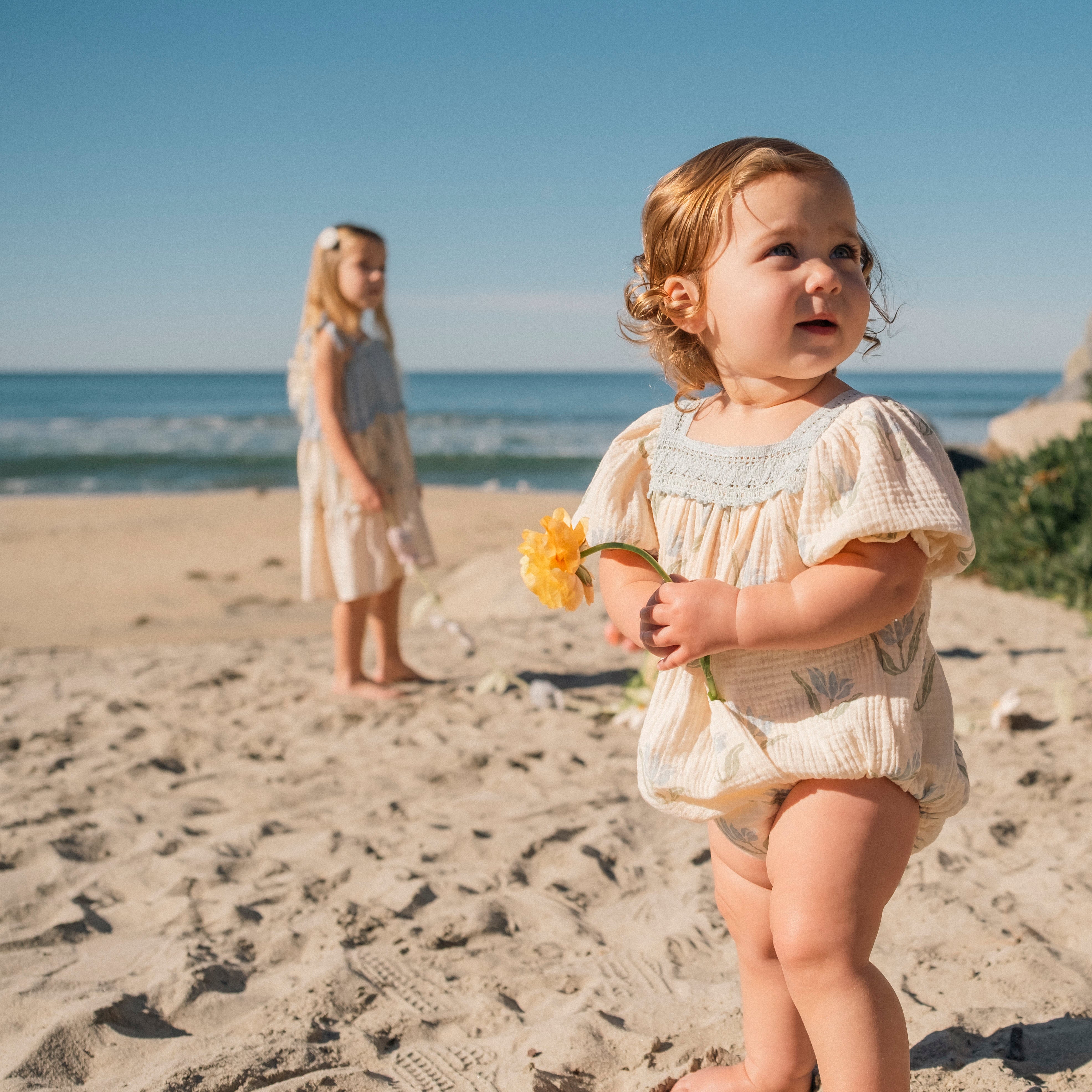 Ciel Bubble - Blue Tulip