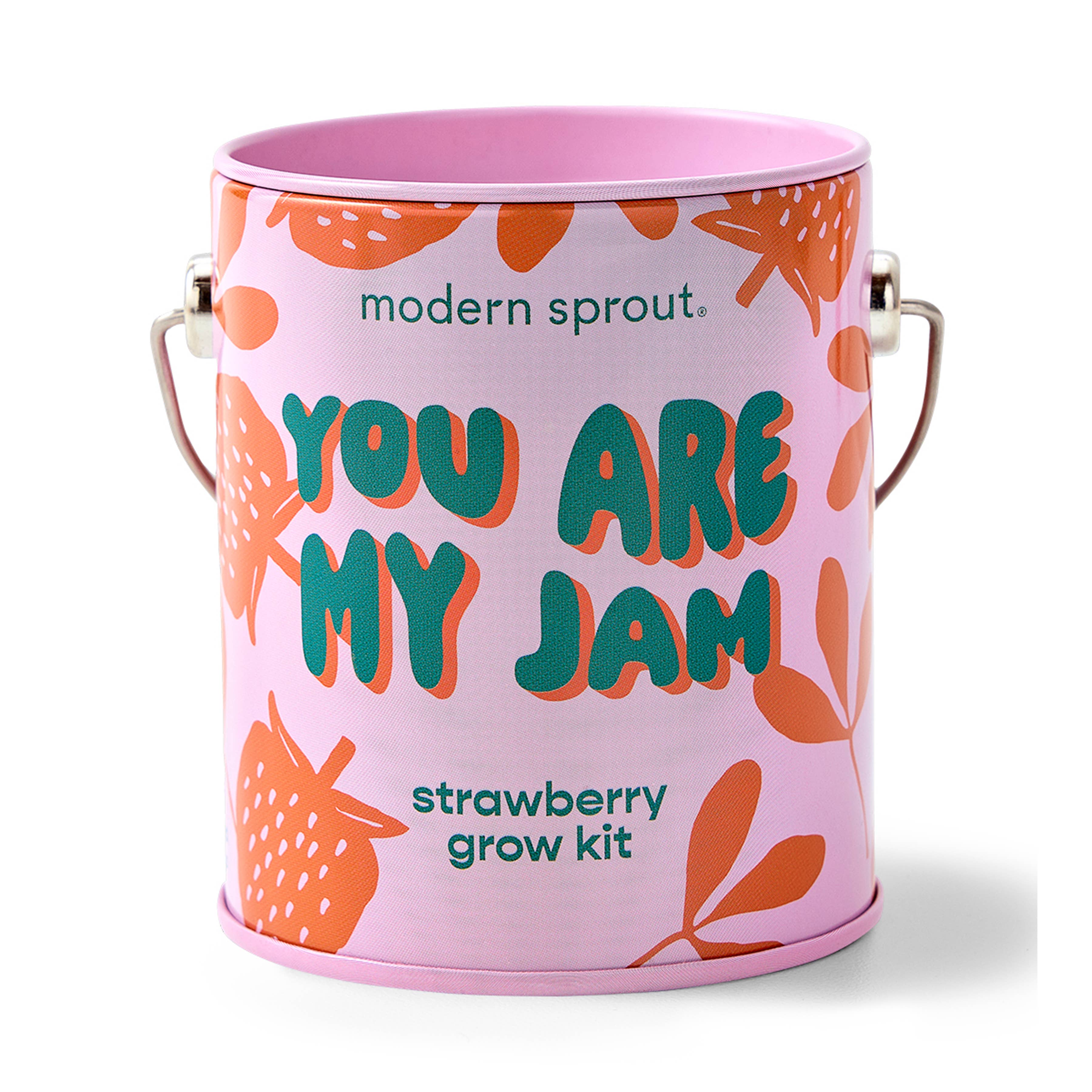 Color Grow Kits: You are My Jam
