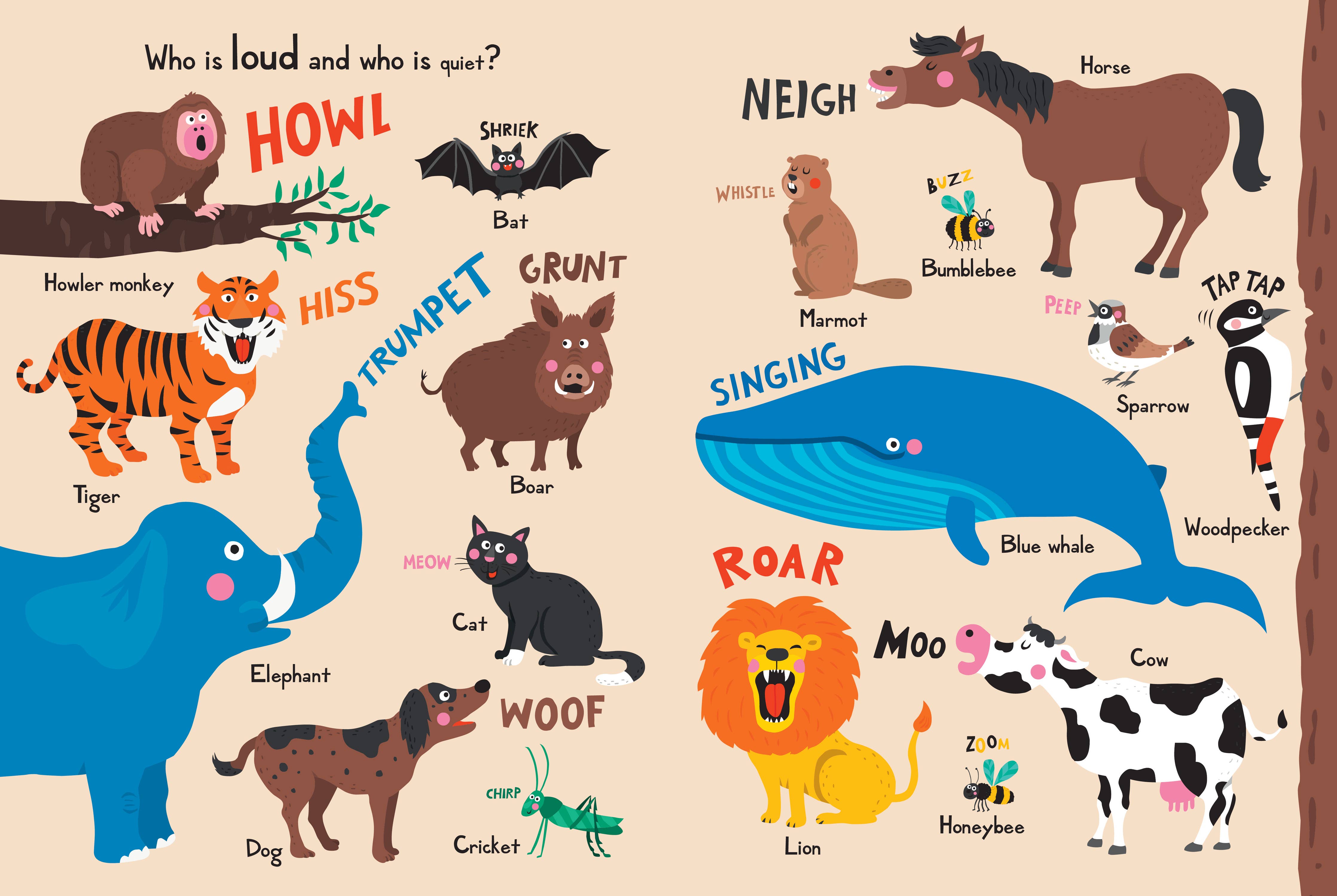 My Book of Animal Opposites