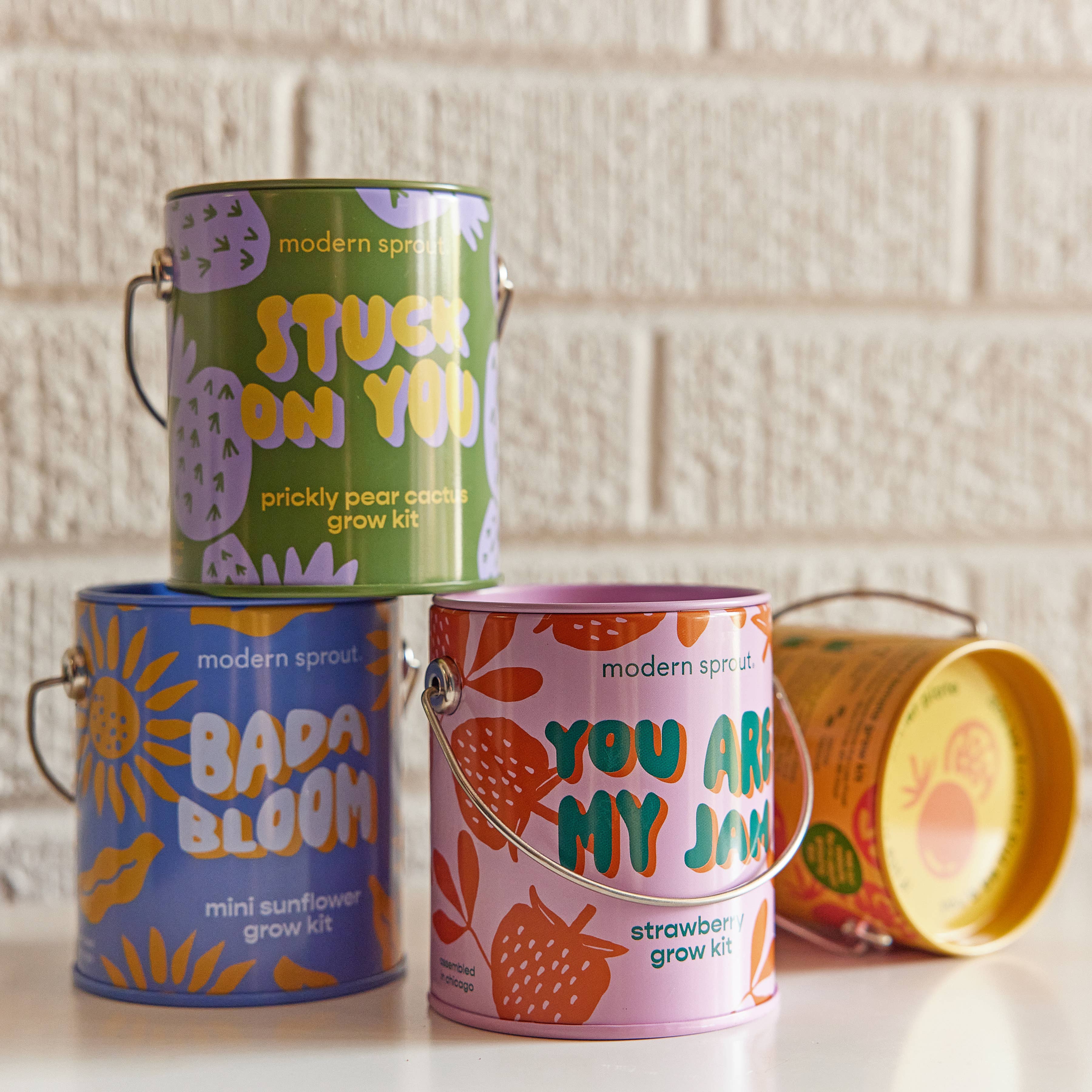 Color Grow Kits: You are My Jam