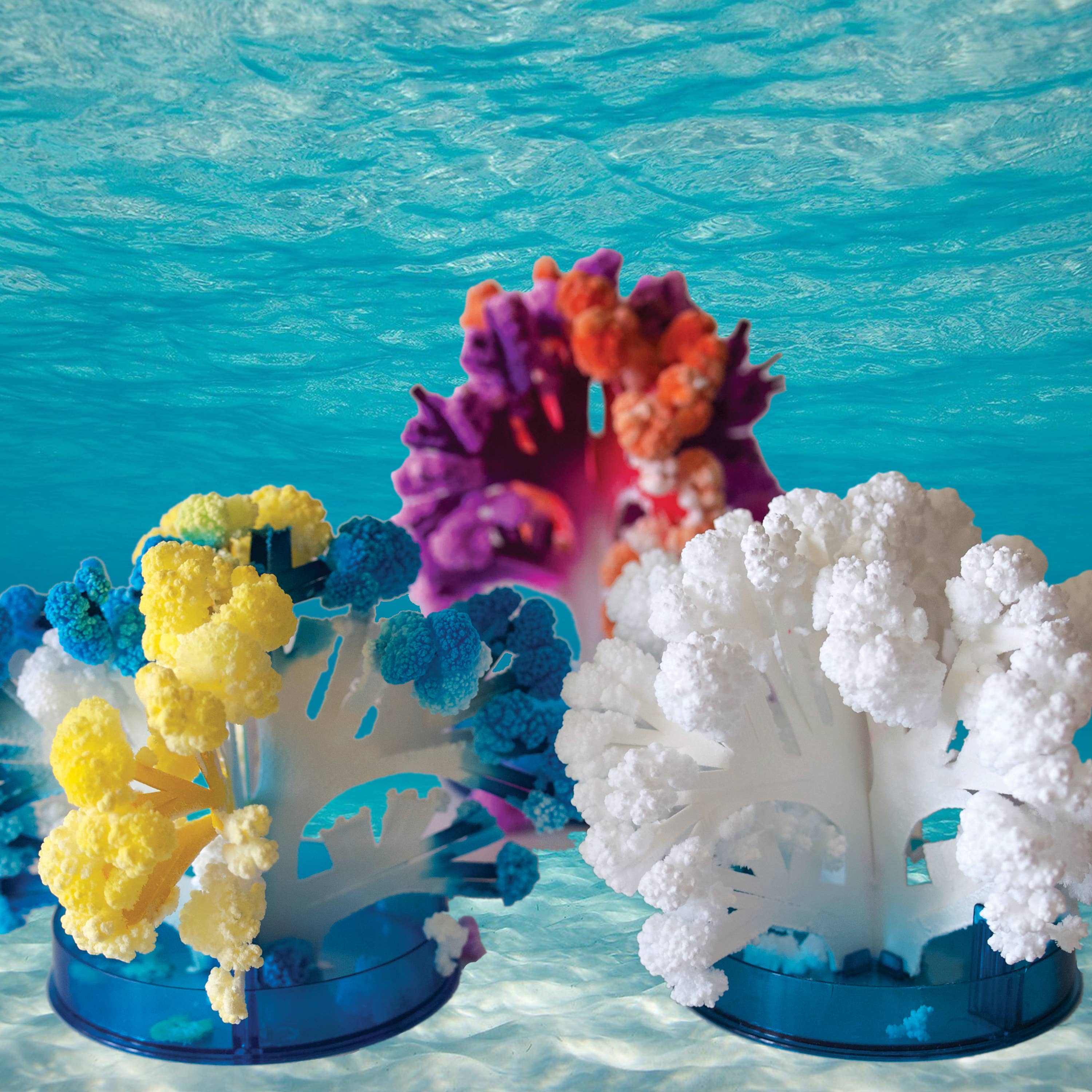 Crystal Growing Coral Reef |
Craft Kit Science Kit