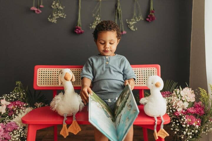 Avery Aviator Learns to Soar Story Book