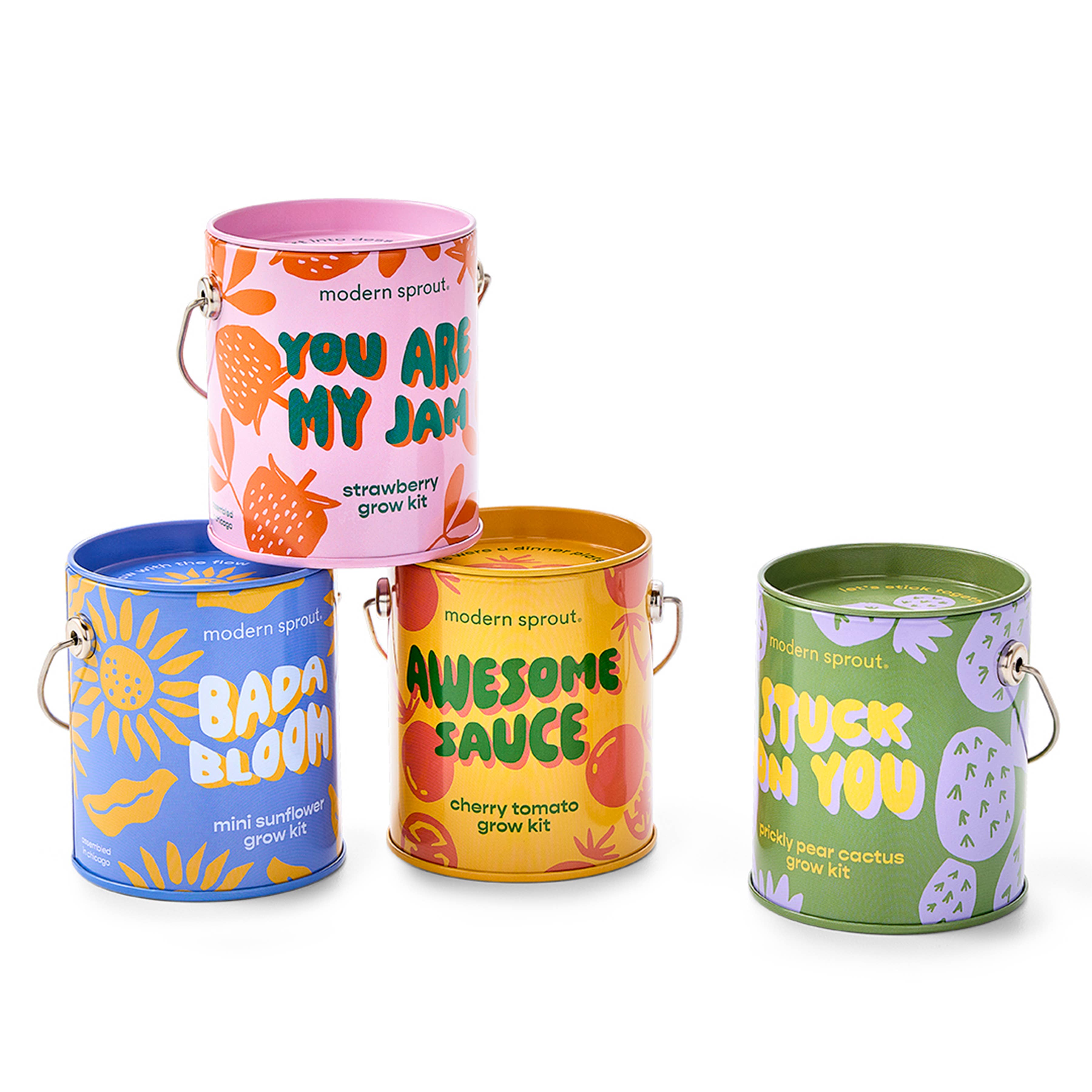 Color Grow Kits: You are My Jam
