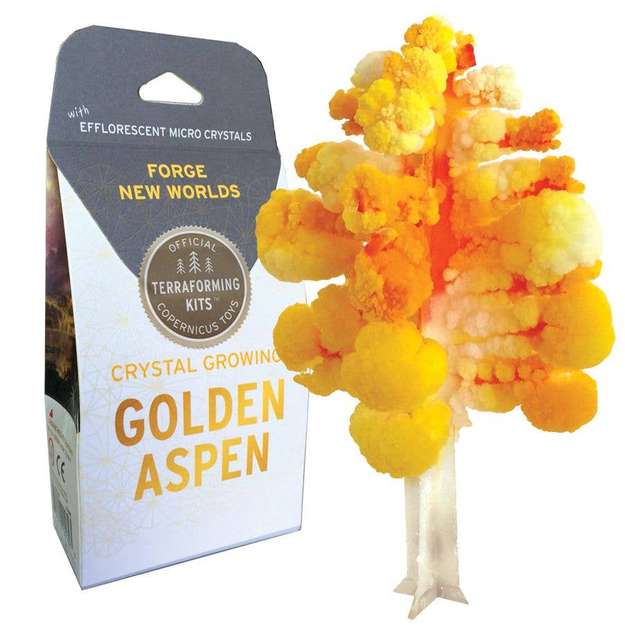 Crystal Growing Aspen |
Craft Kit Science Kit Fall Craft