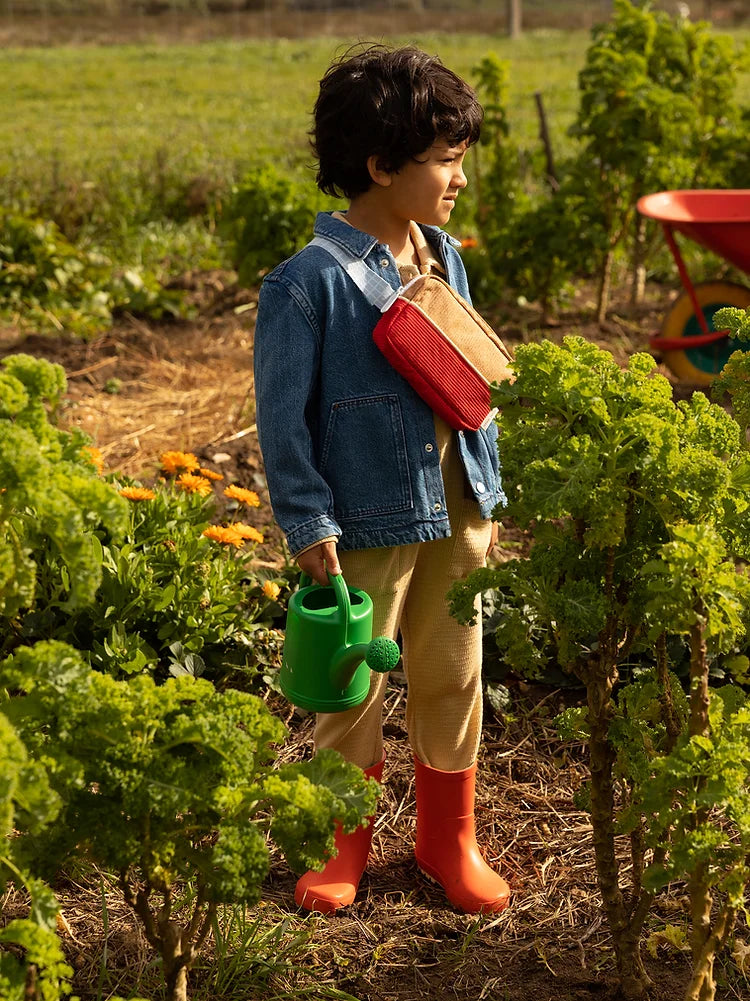 fannypack small | farmhouse | corduroy | harvest moon + ladybird red