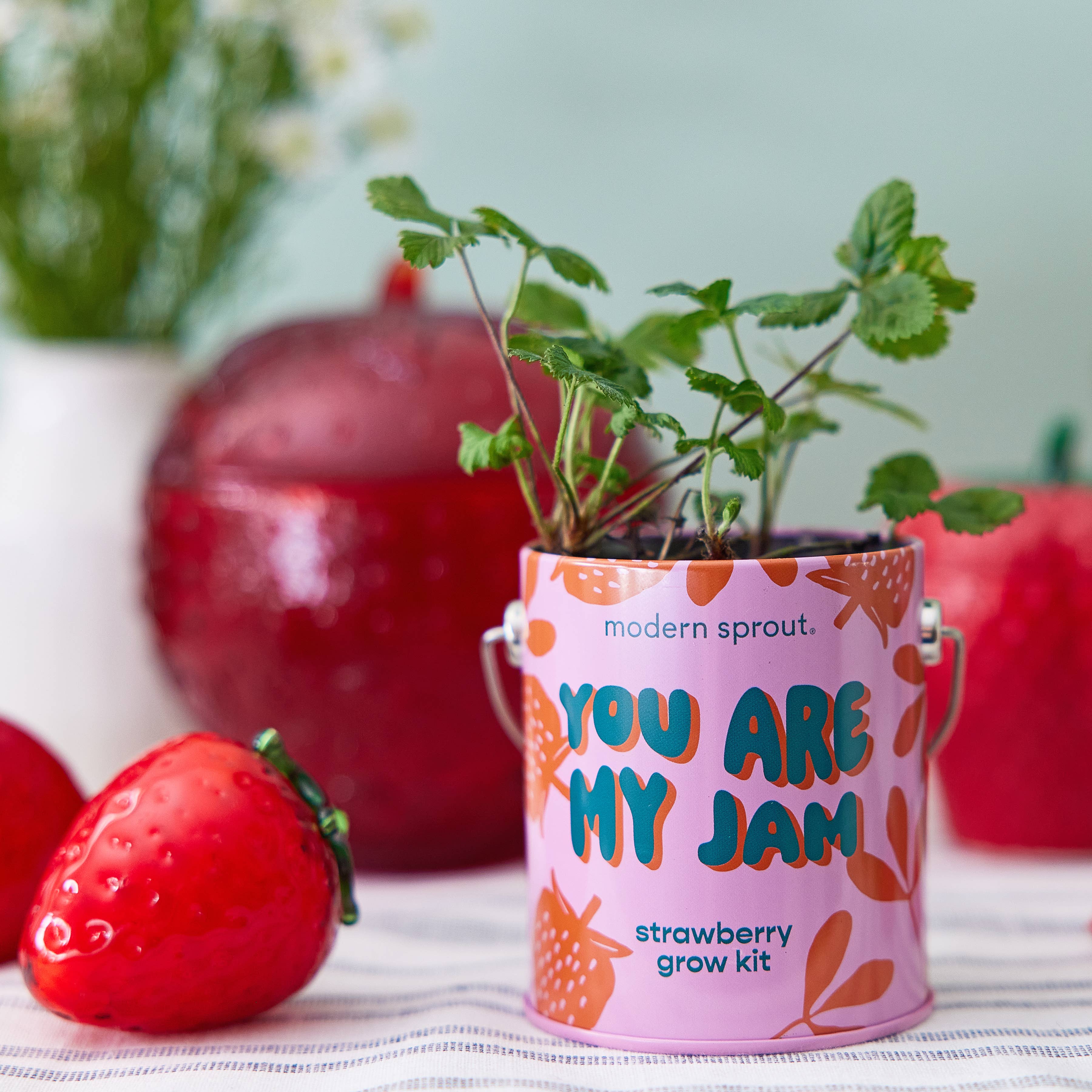 Color Grow Kits: You are My Jam