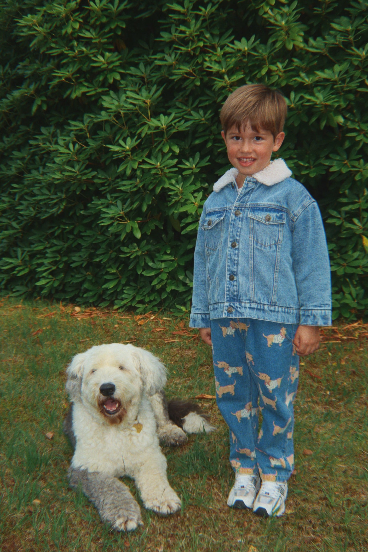 Magot Pants - Bassotto