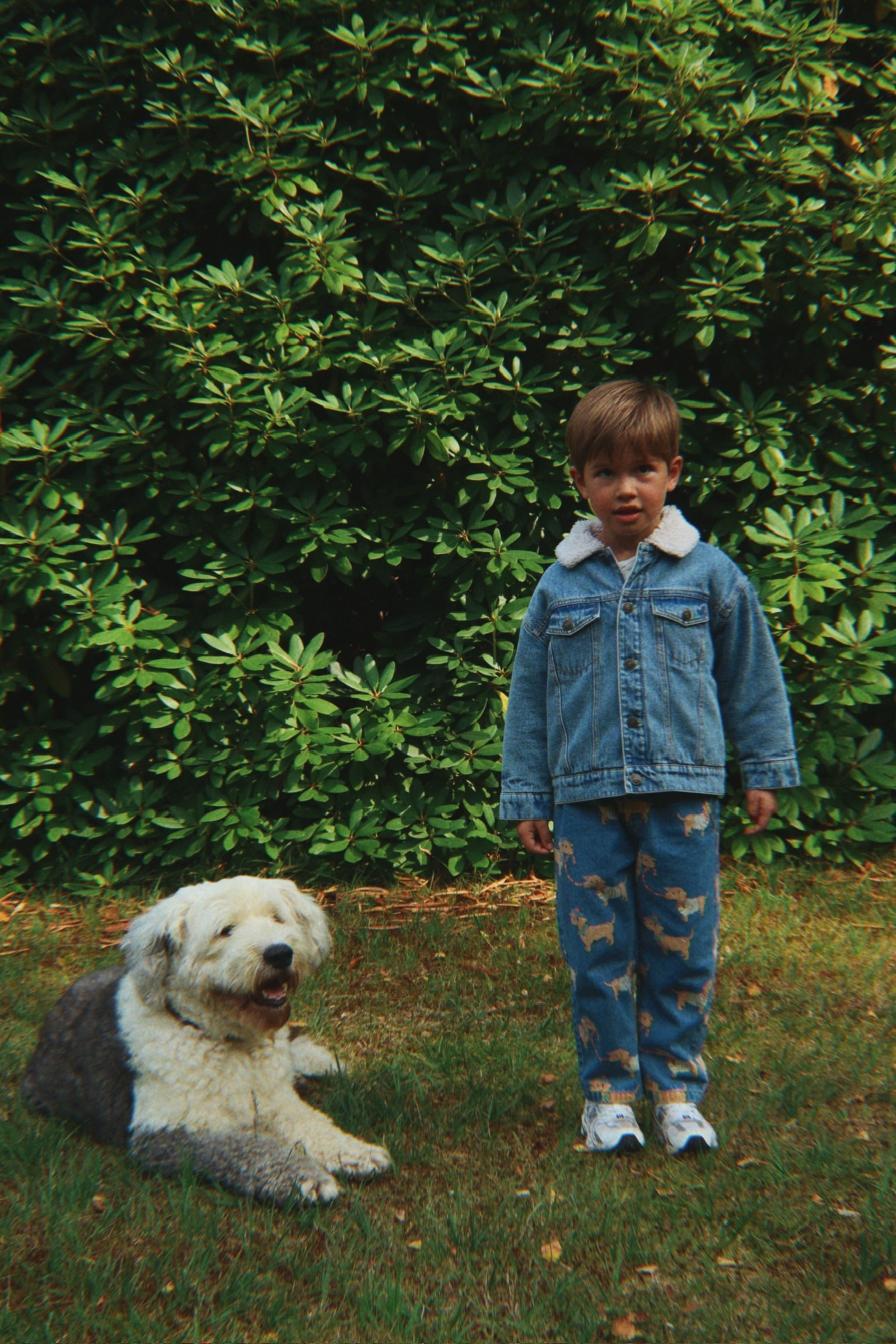 Magot Pants - Bassotto