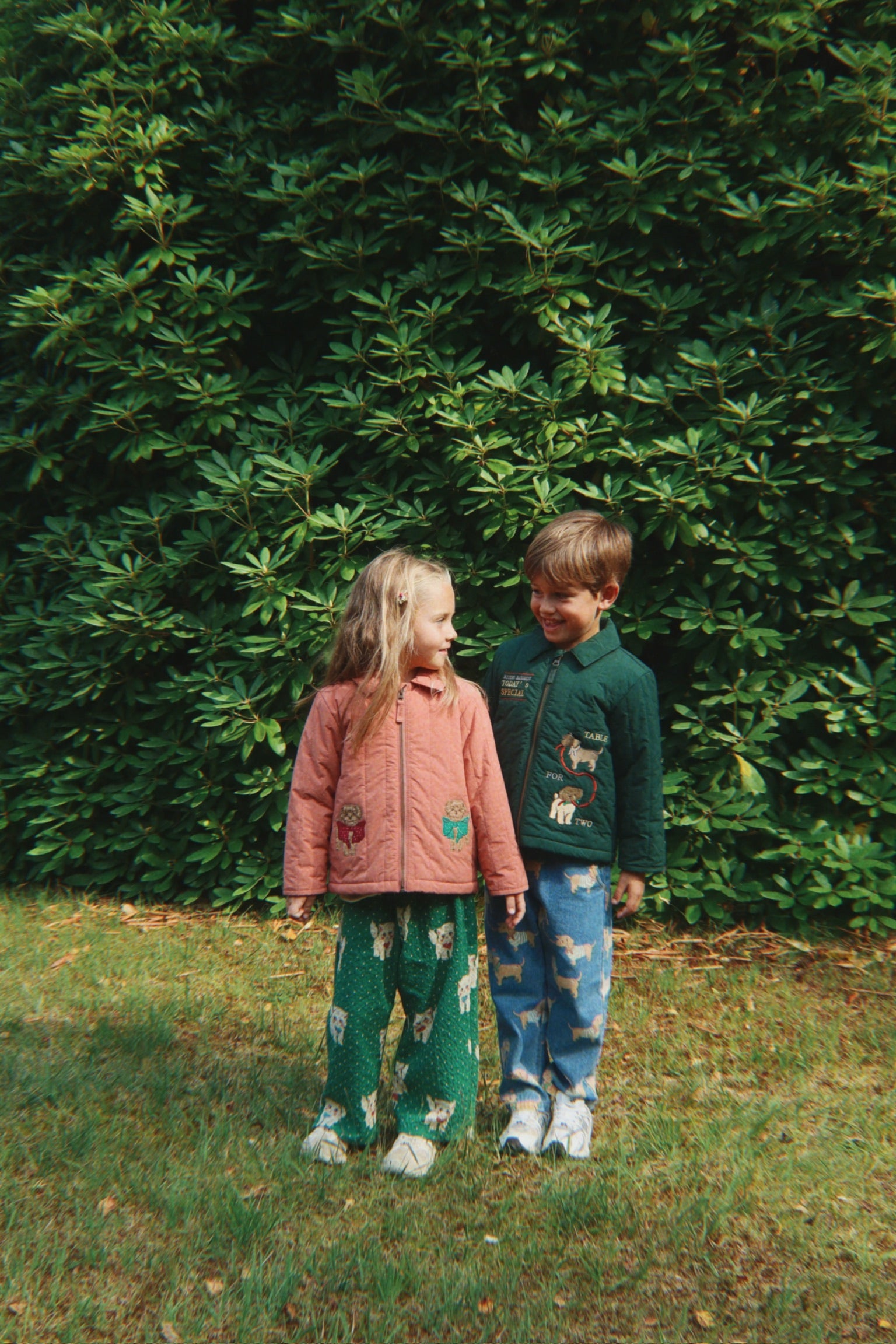 Juno Collar Jacket - Pine Grove