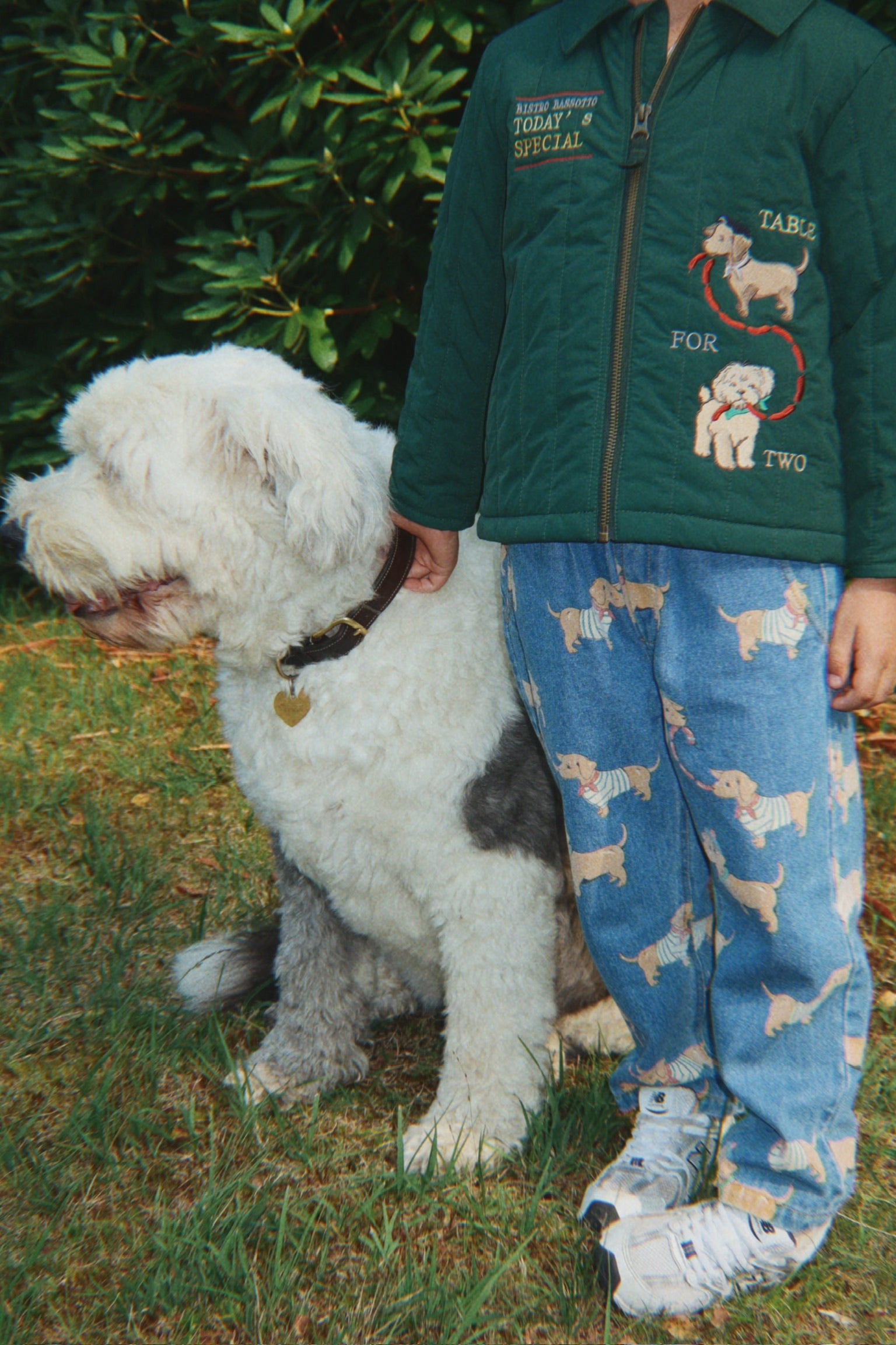 Magot Pants GOTS - Bassotto