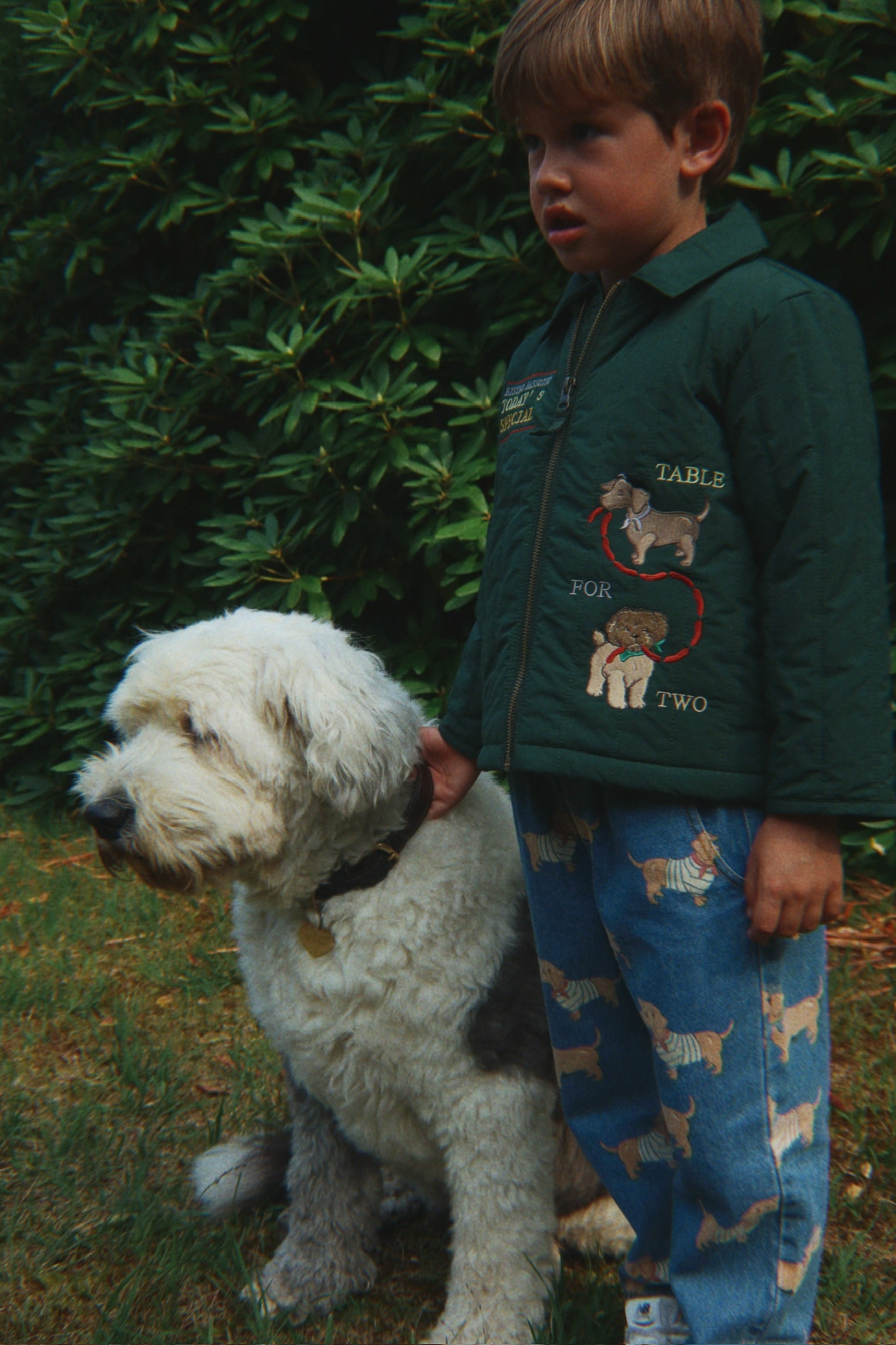 Magot Pants - Bassotto