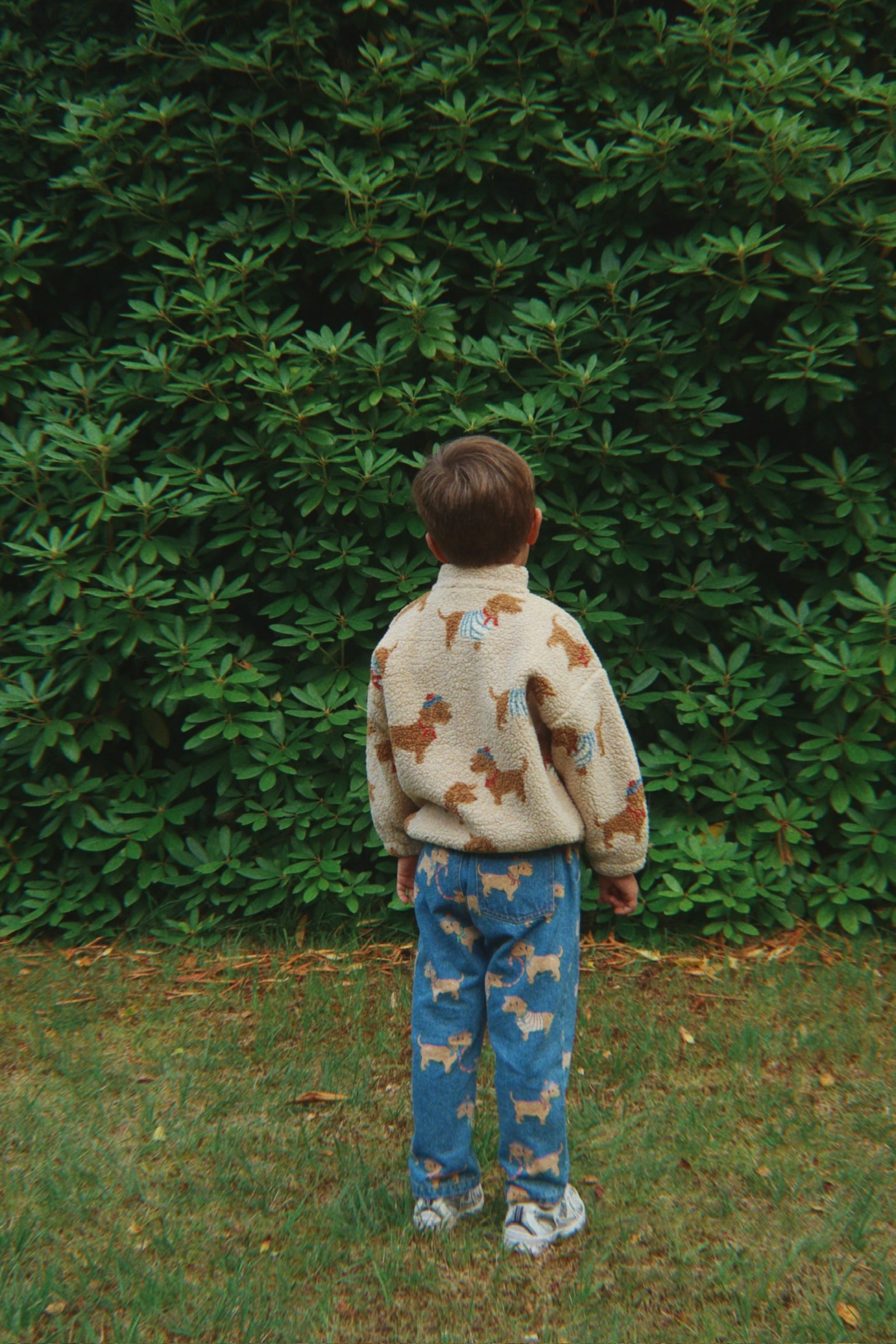 Magot Pants - Bassotto