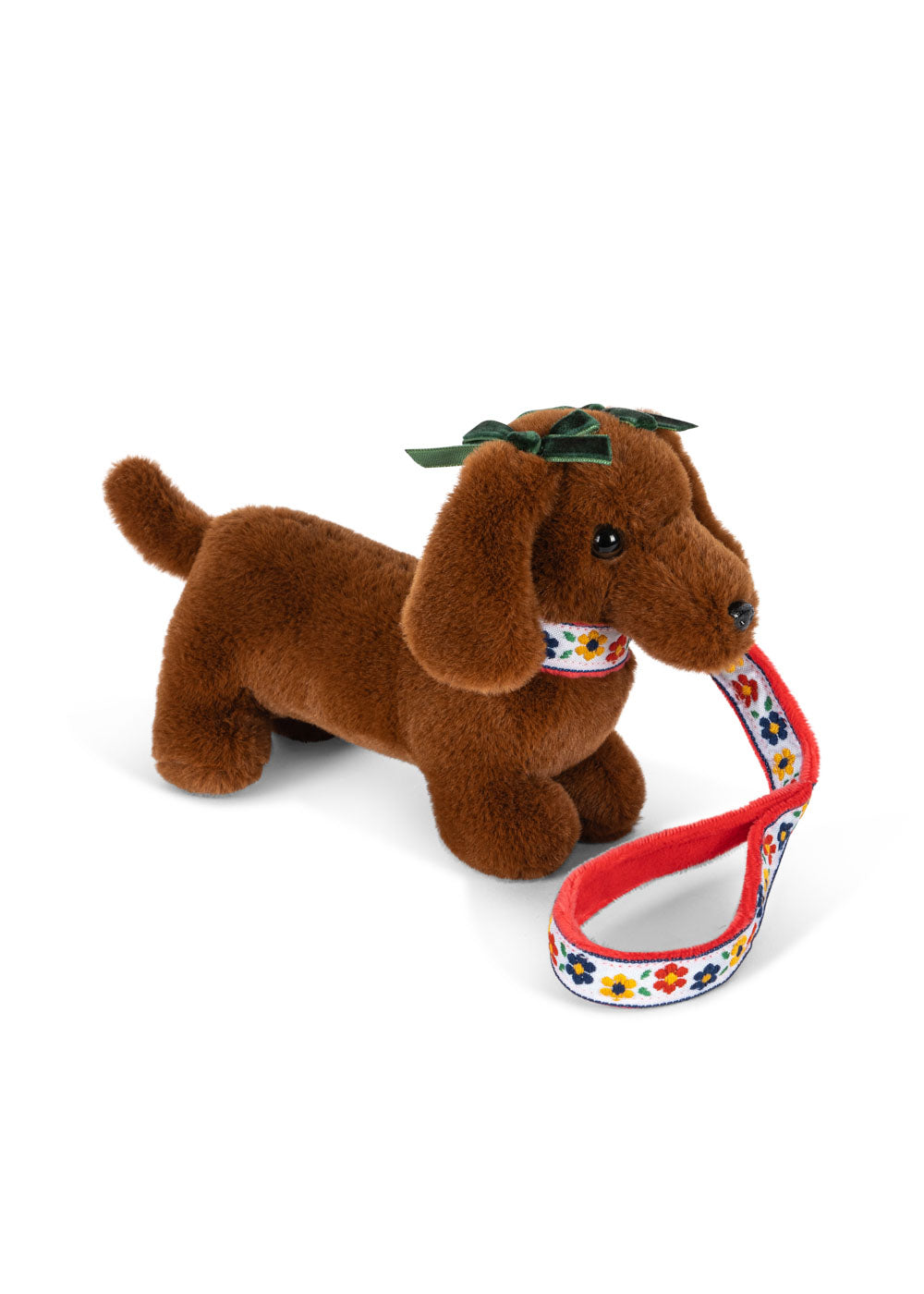 Pet Puppy
