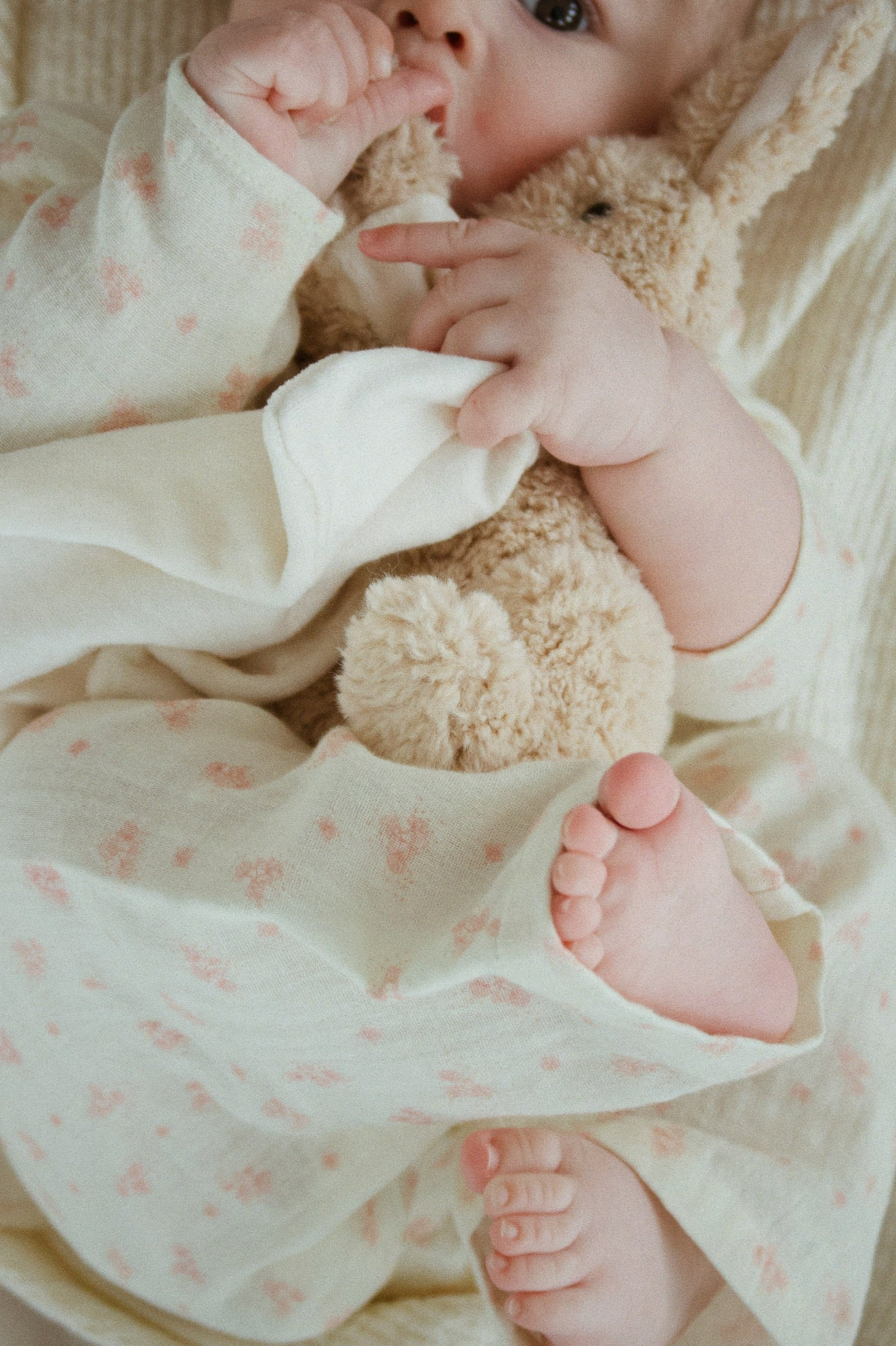 Piccobino Snuggle - Oyster Grey