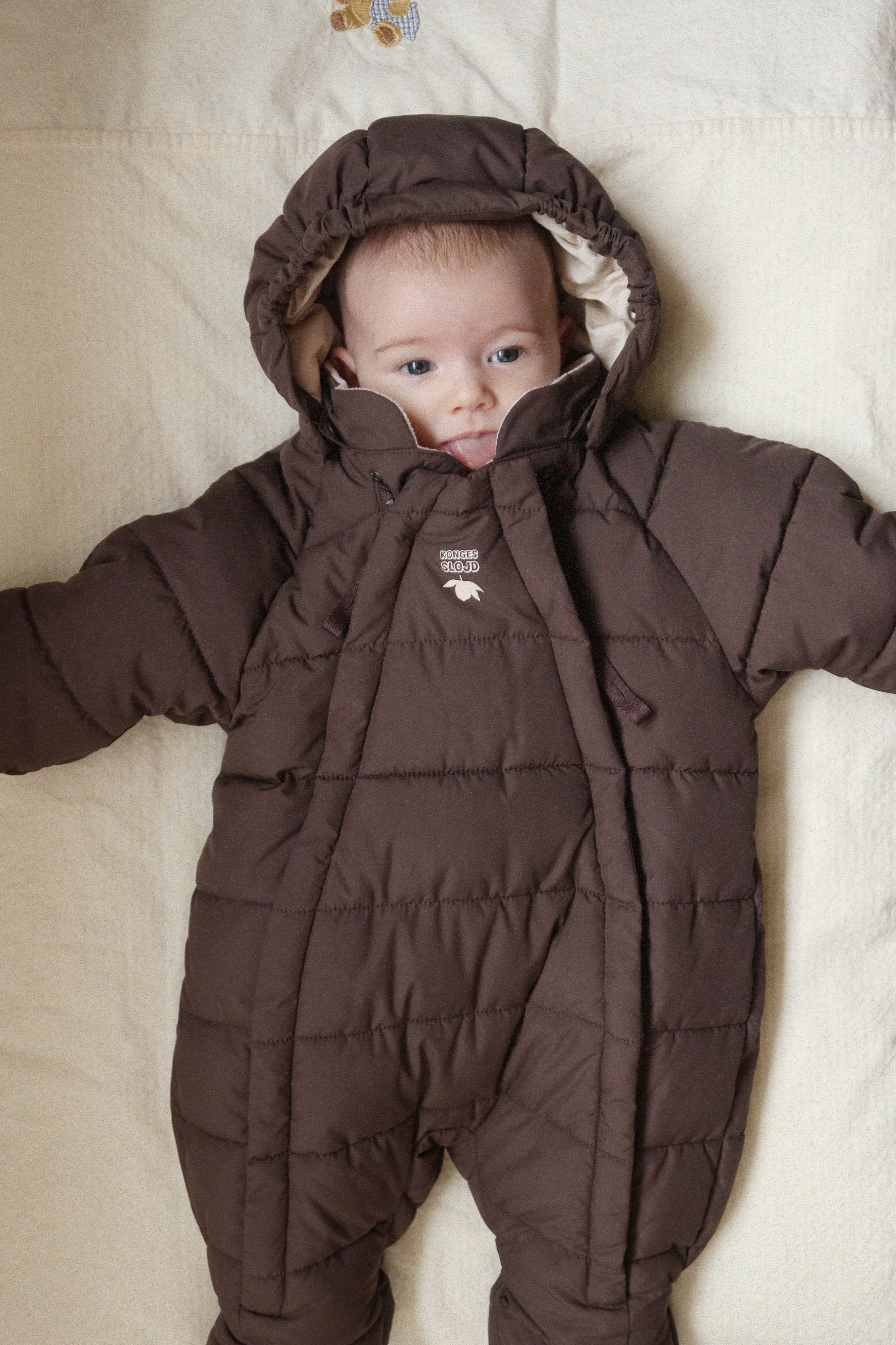 Alpi Baby Suit GRS - Chocolate Brown