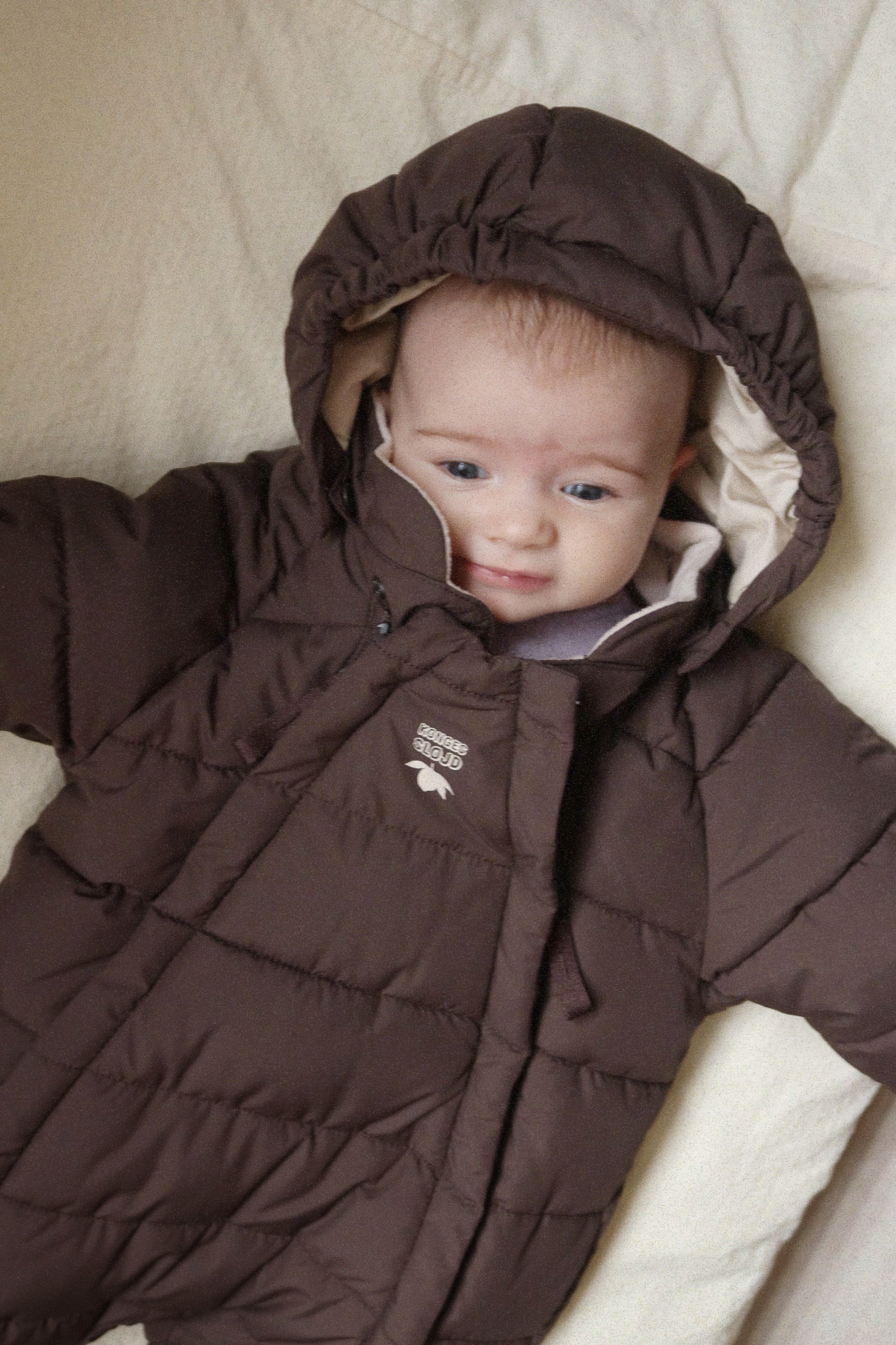 Alpi Baby Suit GRS - Chocolate Brown
