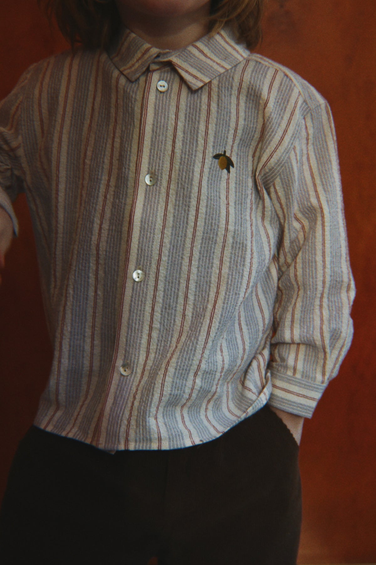 Elliot Long Sleeve Shirt - Tocororo Stripe