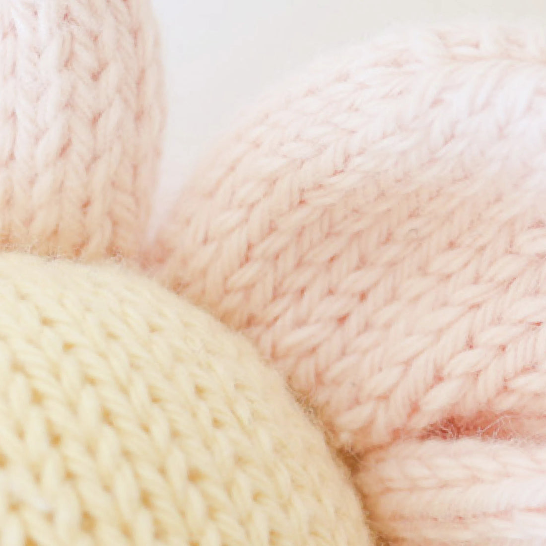 Baby Daisy - Blush Pink