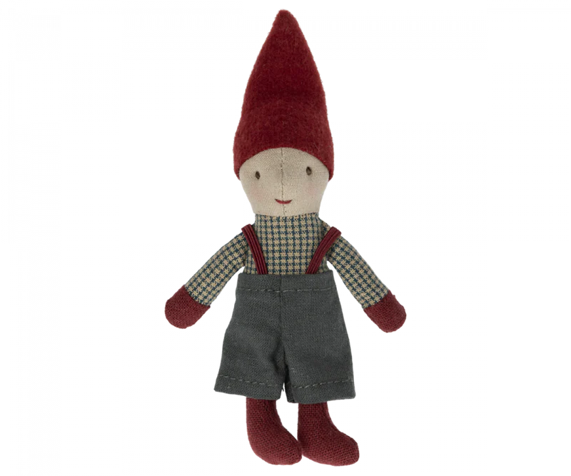 Pixy Elf Boy