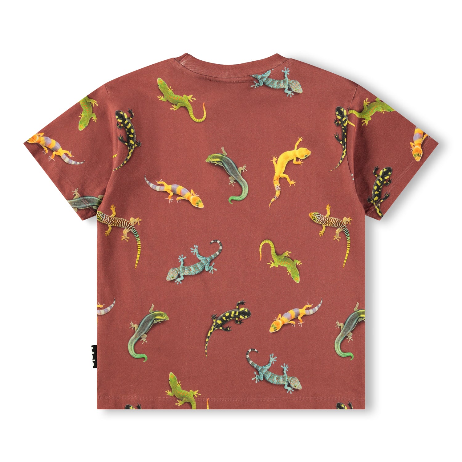 Riley - Geckos Sanguine