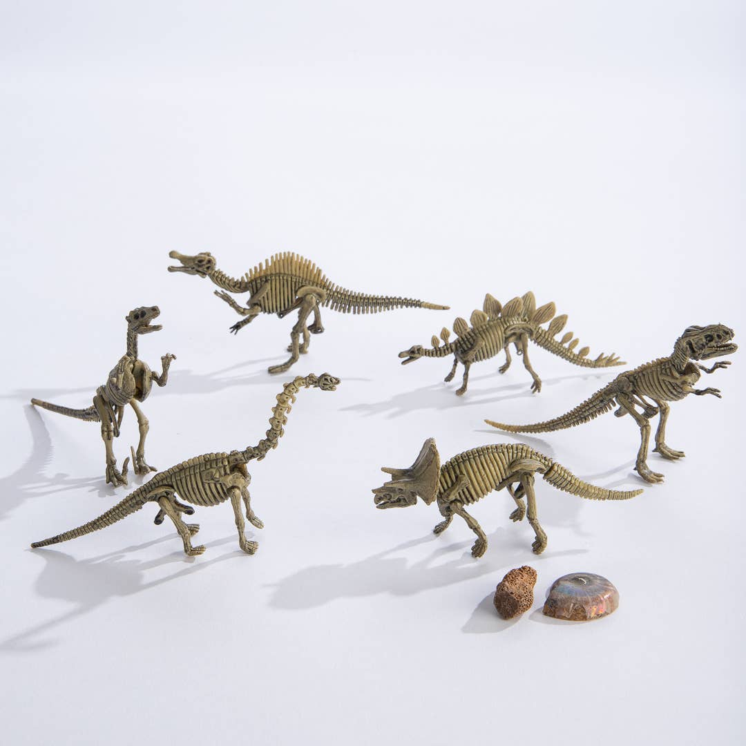 Dig Kit: Dinosaur Egg with Skeleton
