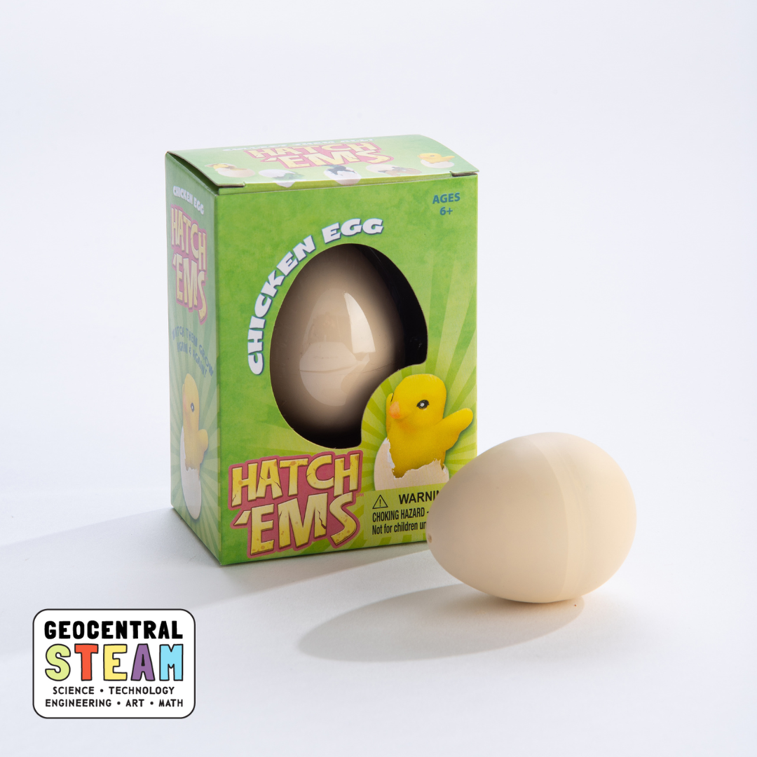 Chicken Eggs (Mini Hatch'ems) | Watch them Grow!