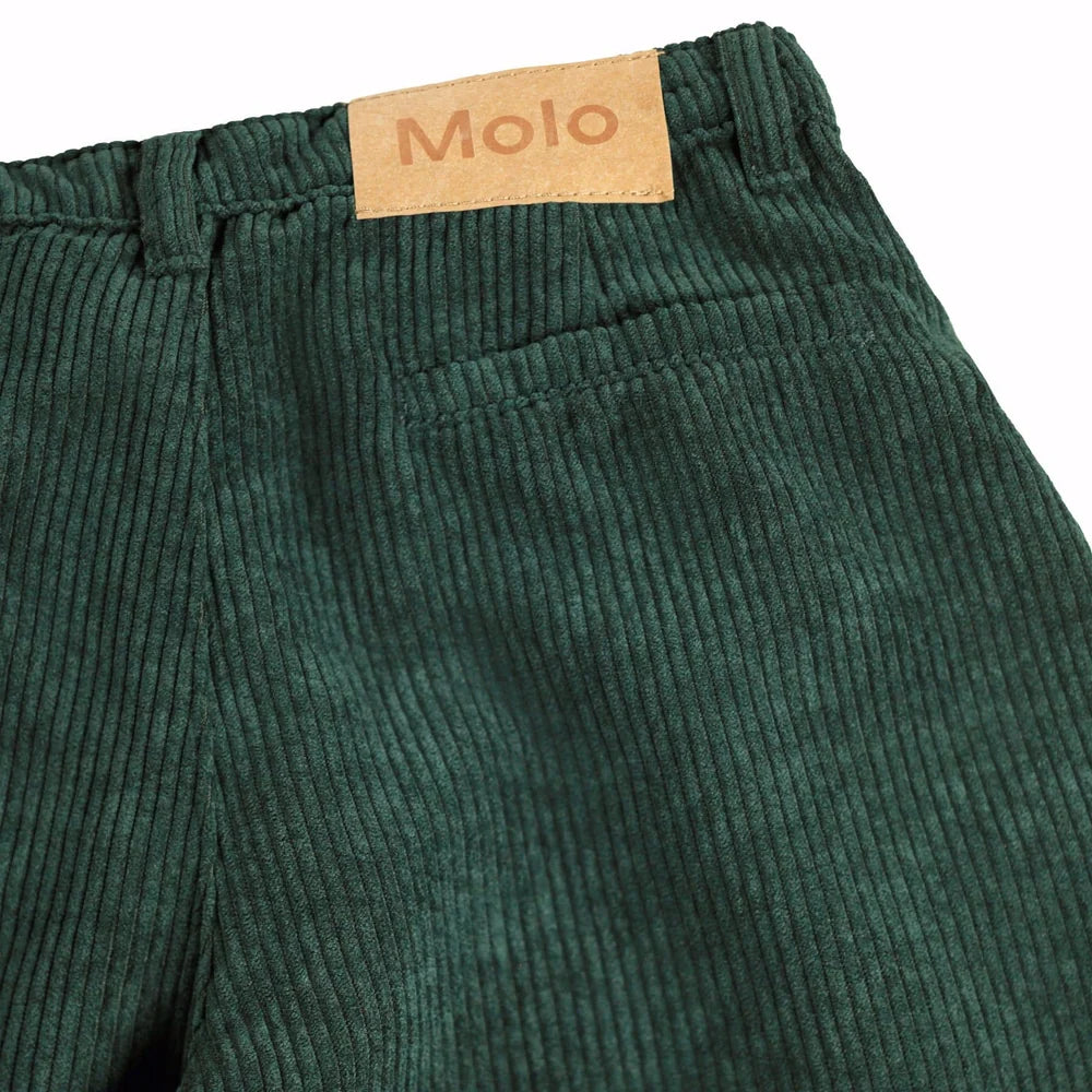 Alaine Pant - Taxus