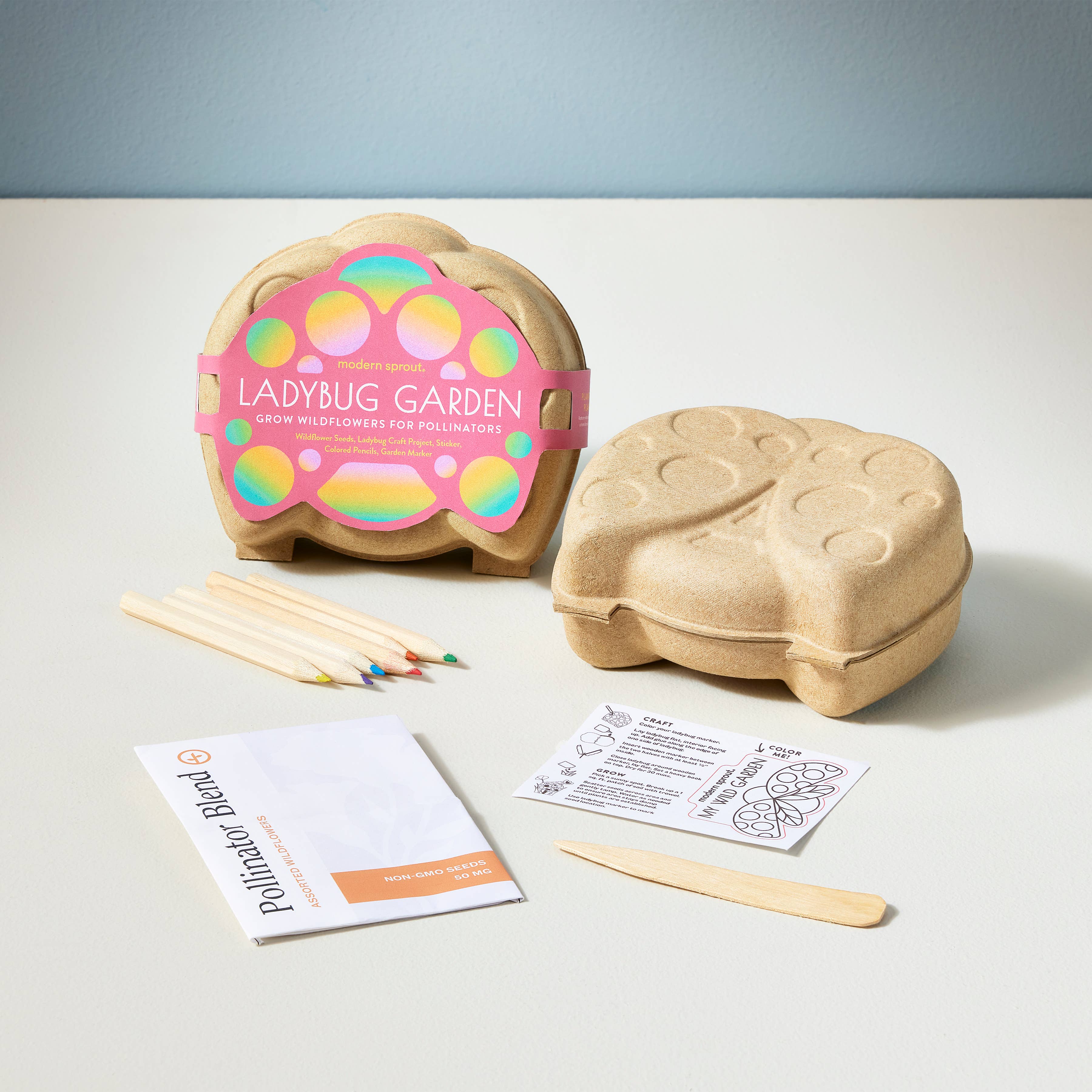 Curious Critters Activity Kit: Ladybug