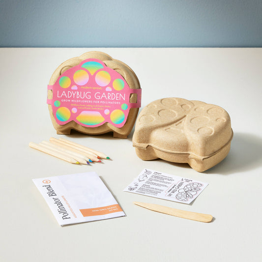 Curious Critters Activity Kit: Ladybug